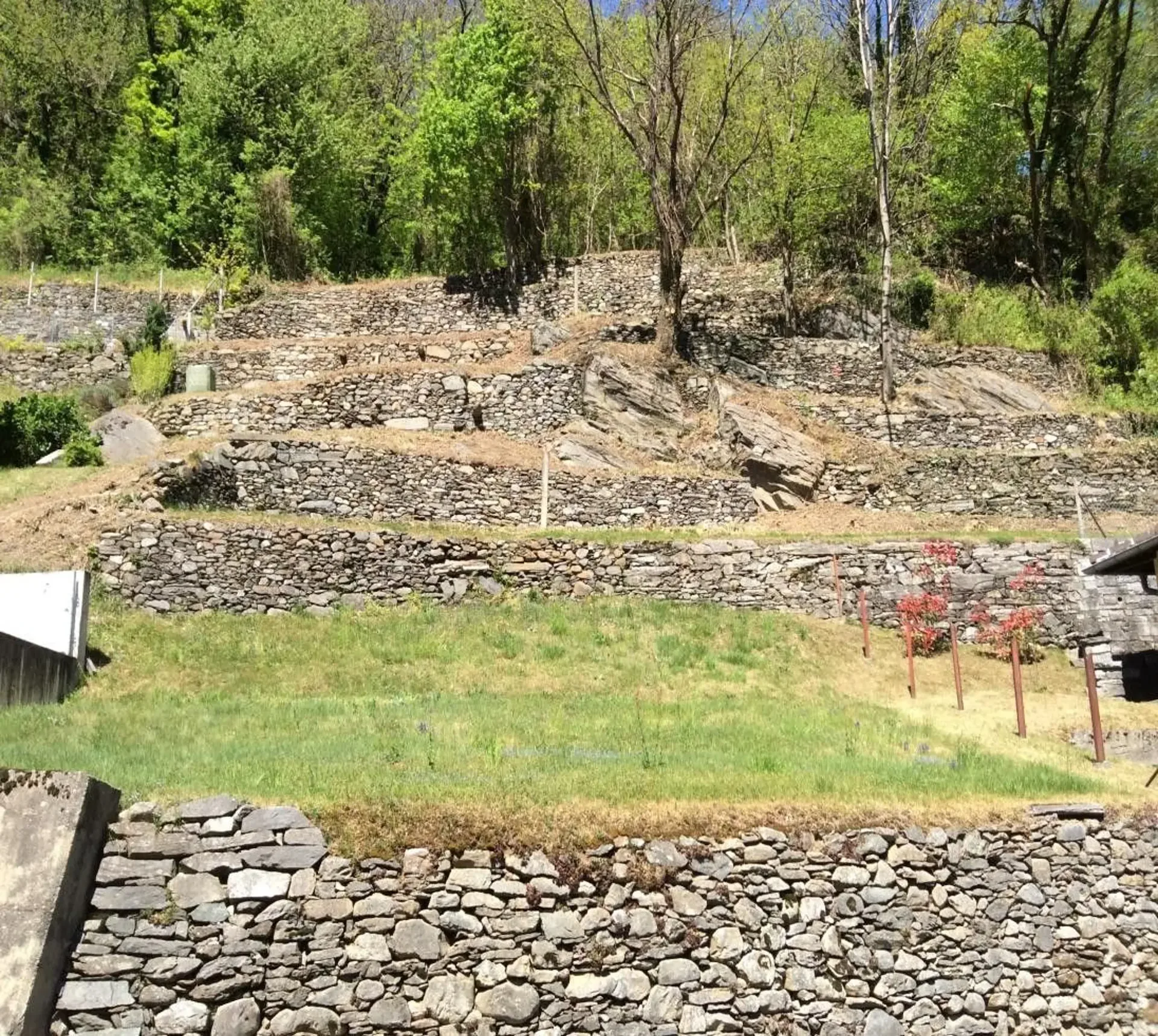Buildable land R2 of 770 m², preliminary project and existing grotto/rustic