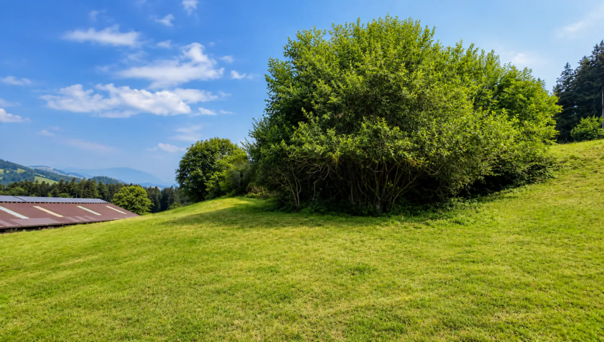 Dreamy view, sunny location, and plenty of potential in Speicher