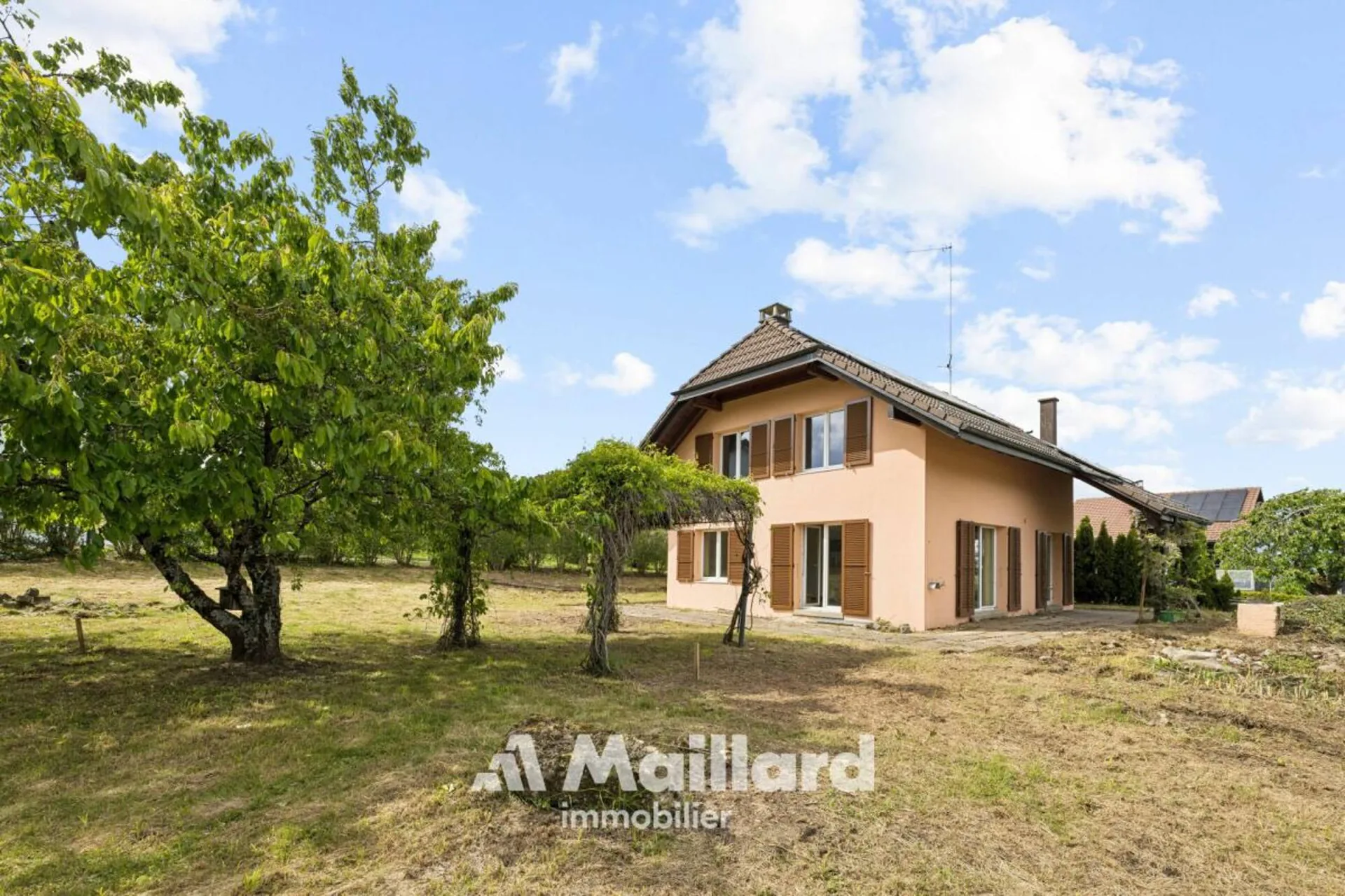 Beautiful individual villa in Carrouge VD