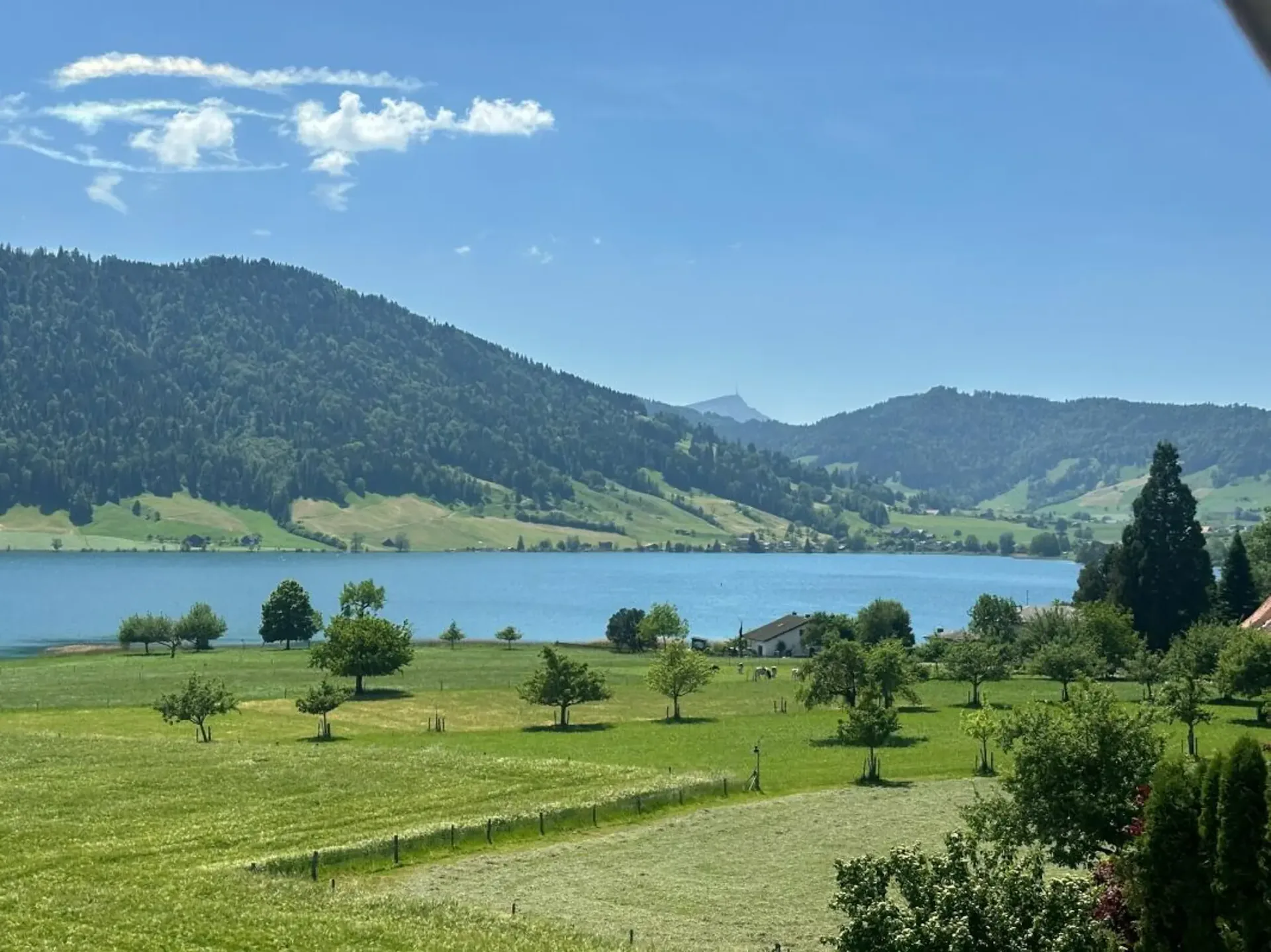 Exklusive 3.5 Zi-Dachwohnung mit traumhafter Panoramasicht auf den Ägerisee