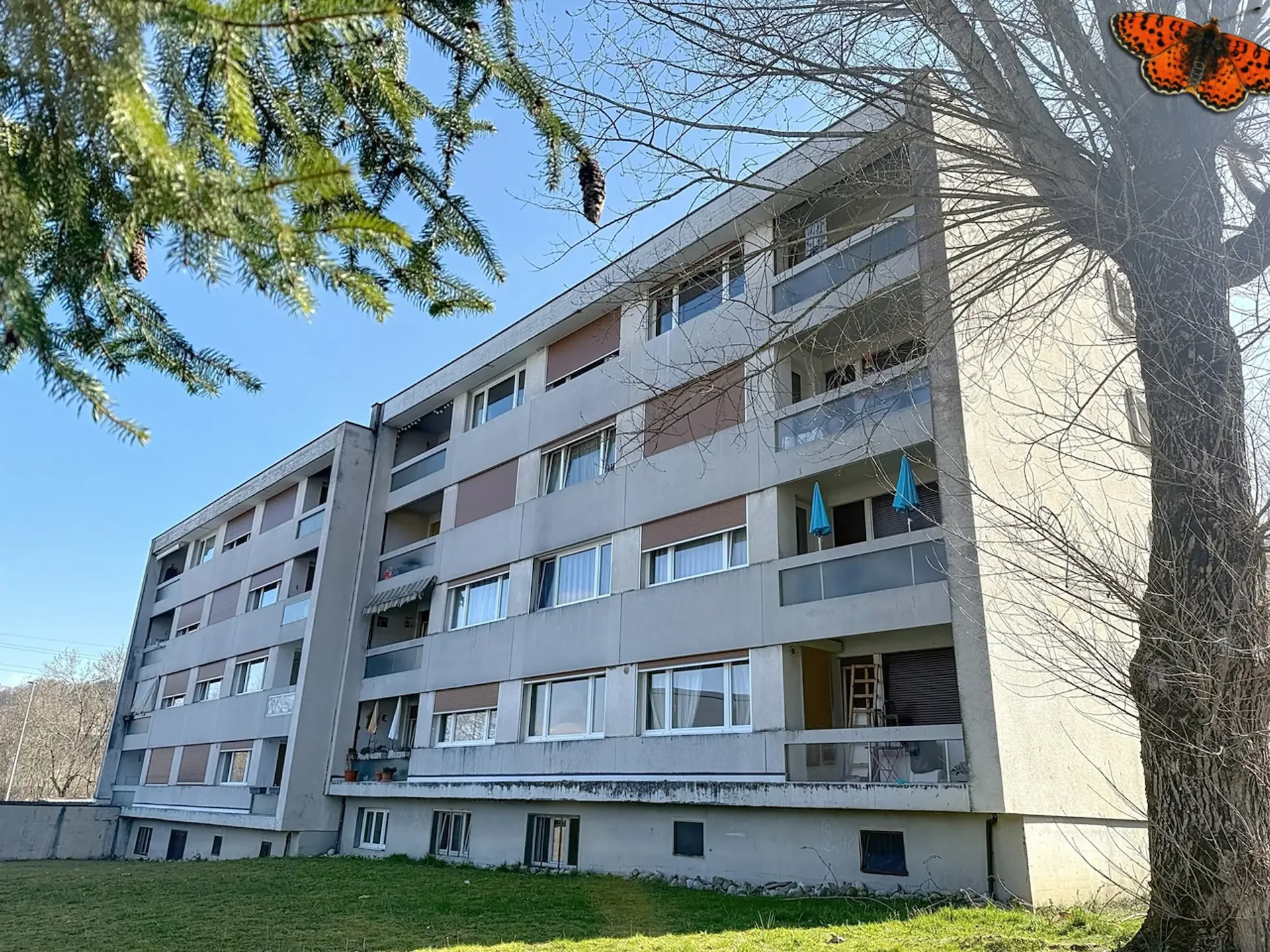 3½ pièces - Au calme
