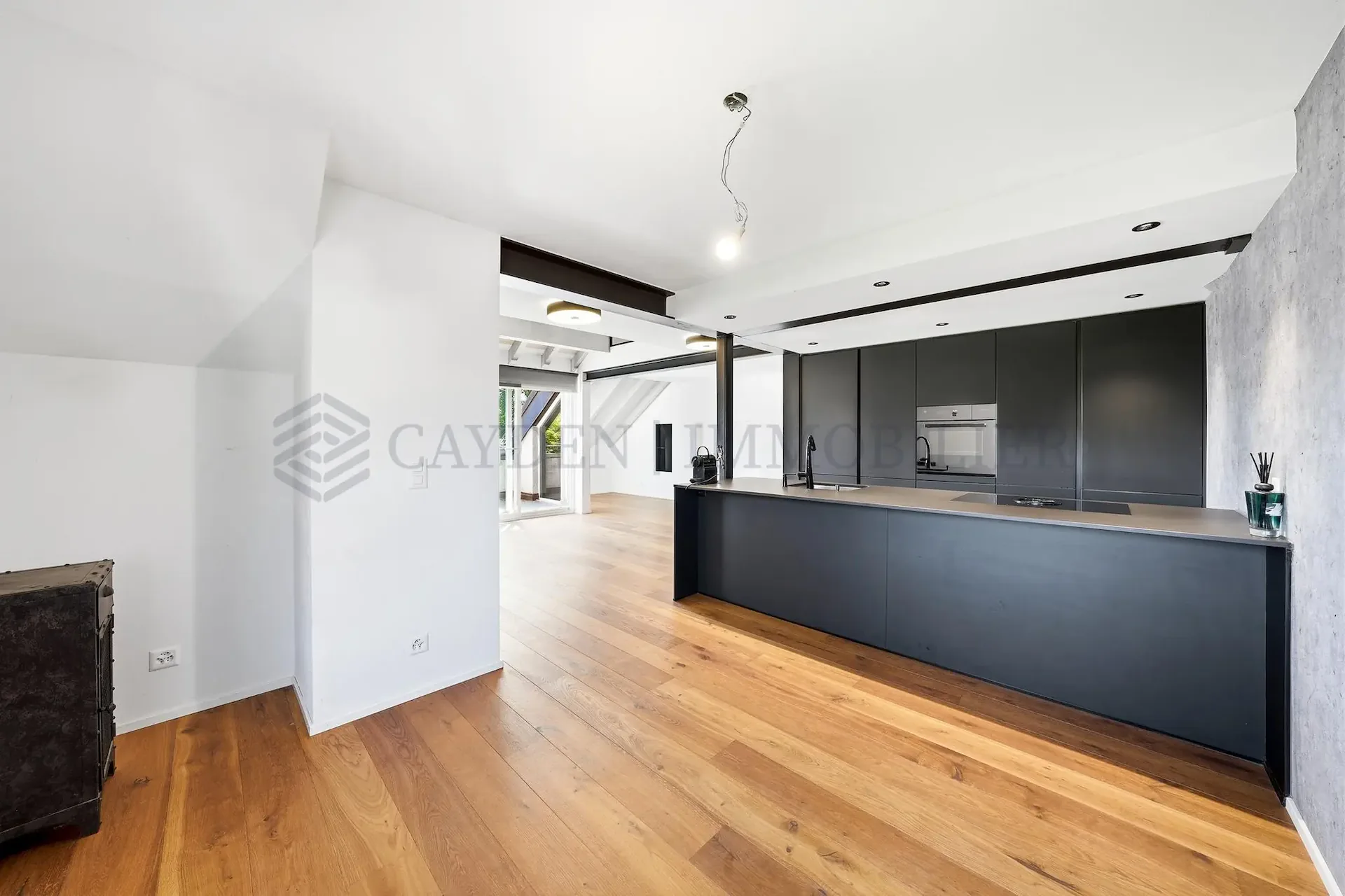 EXCLUSIVITY - 5.5 rooms renovated