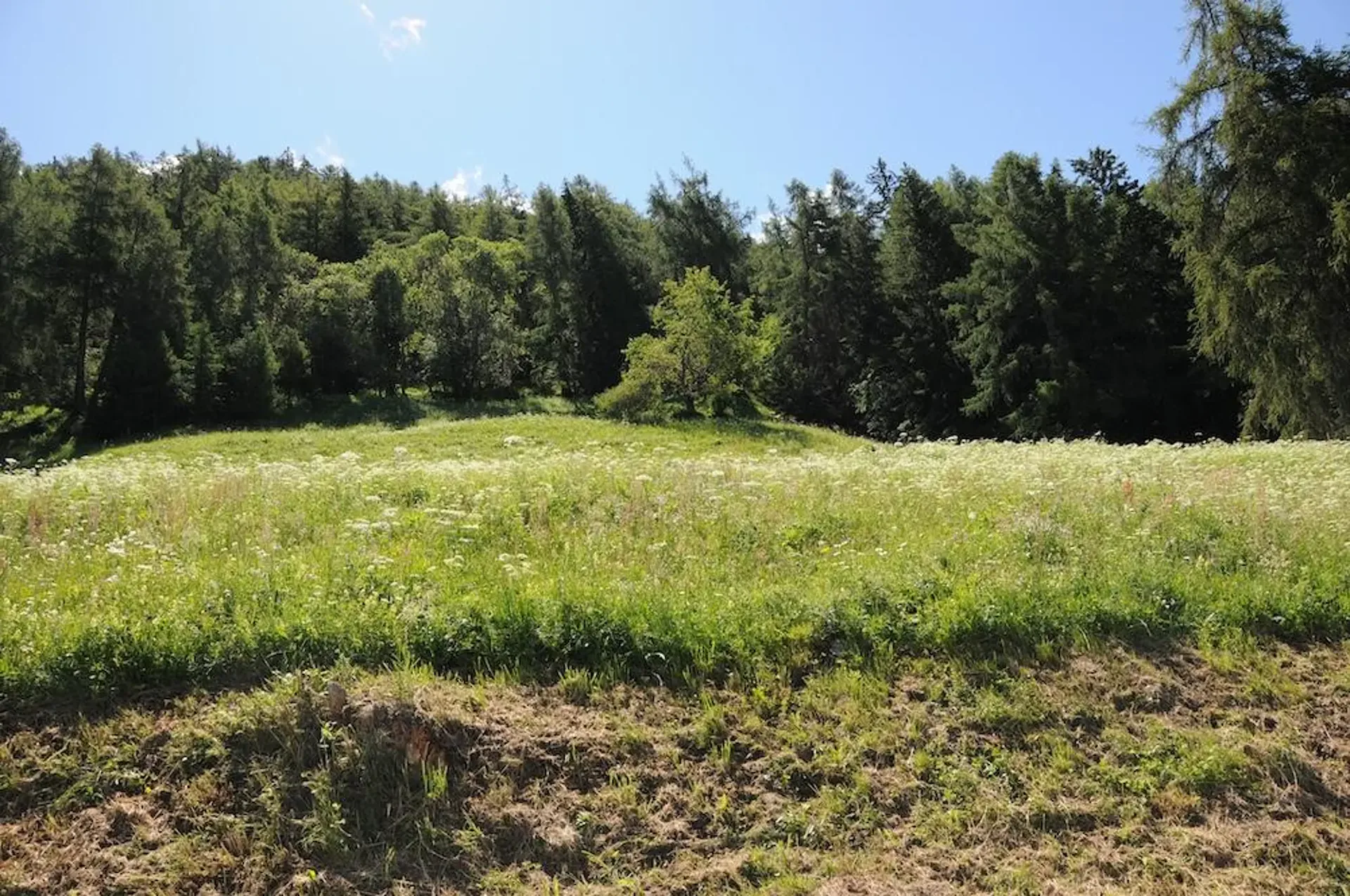 Terrain constructible Isérables (5 minutes de Haute-Nendaz) - Vue panoramique - résidence principale