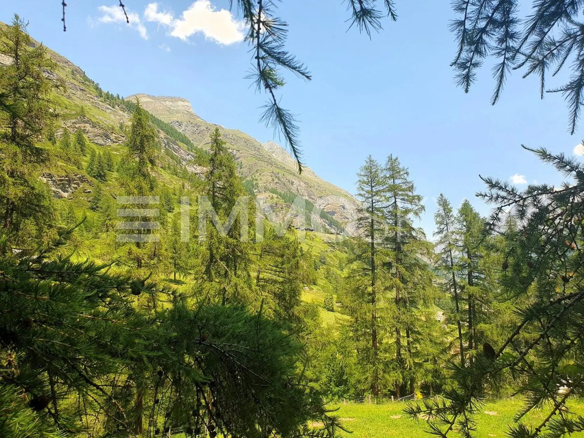 Terreno vicino alla pista da sci