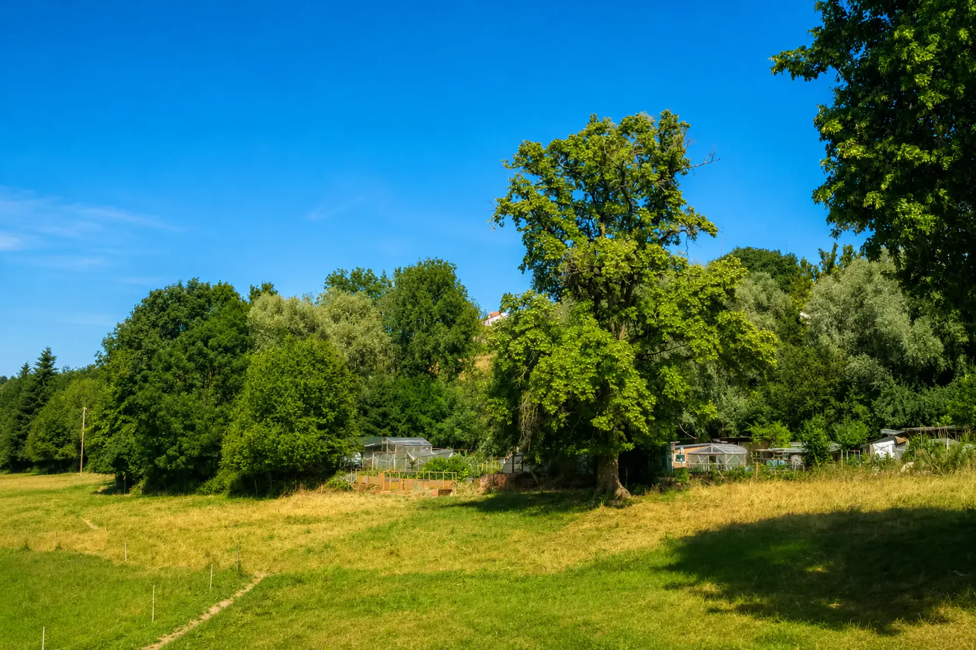 Romont - Agricultural plot ideally located just a few steps from the train station
