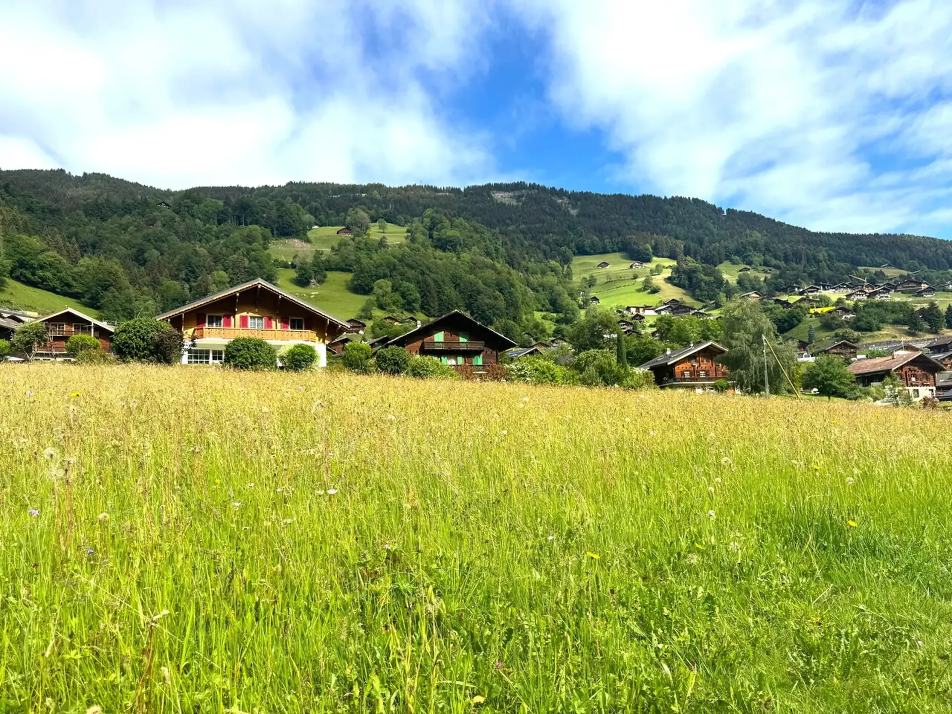 Baugrundstück von 972 m² in Val-d'Illiez