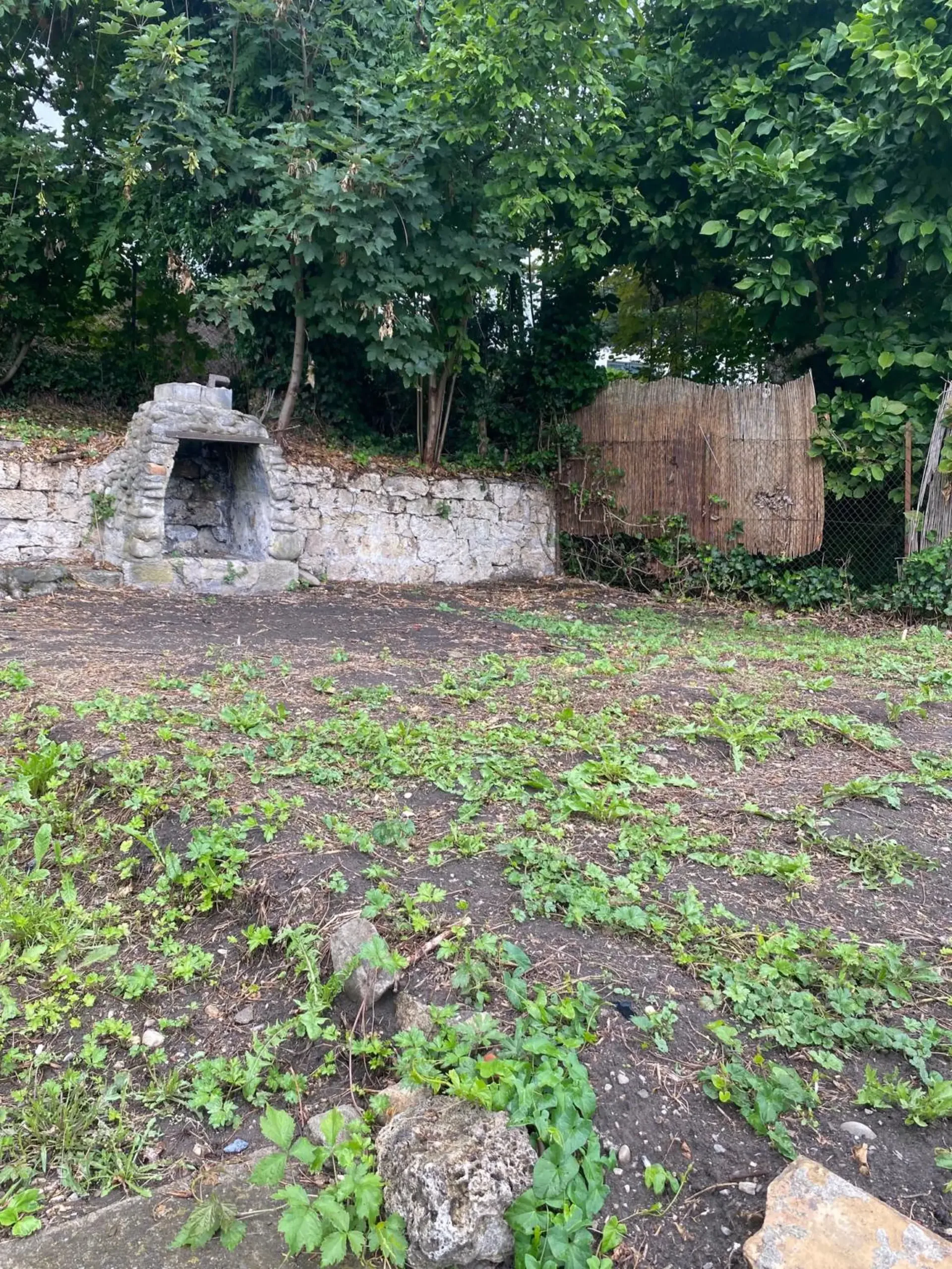 Mehr als zwei Plätze verfügbar! Entdecken Sie einen Garten, einen wahren Friedensort, mitten im Herzen der Stadt Freiburg!