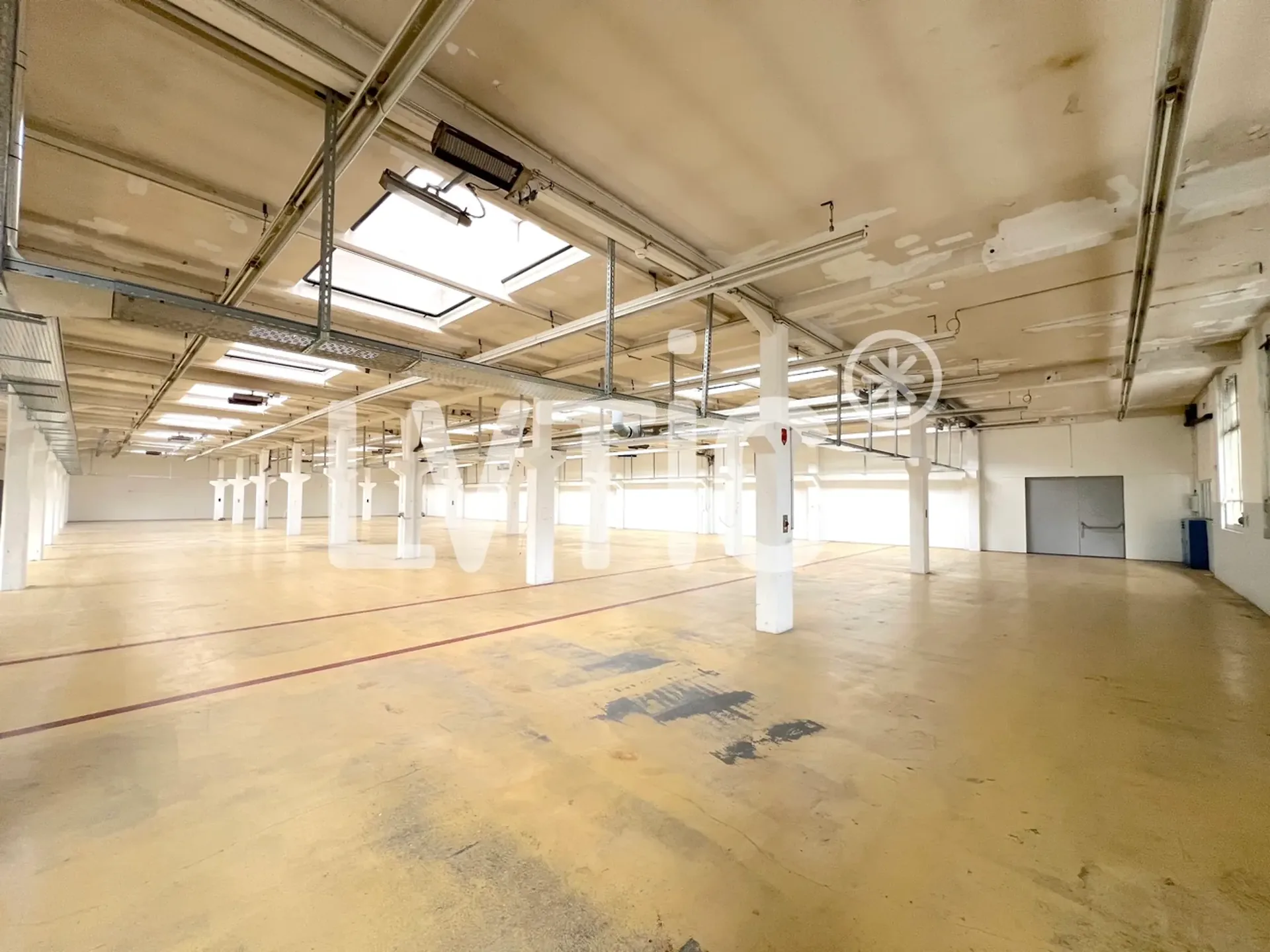Werkstätten, Lager, Räume von 1370 m2 zur Miete in Cossonay