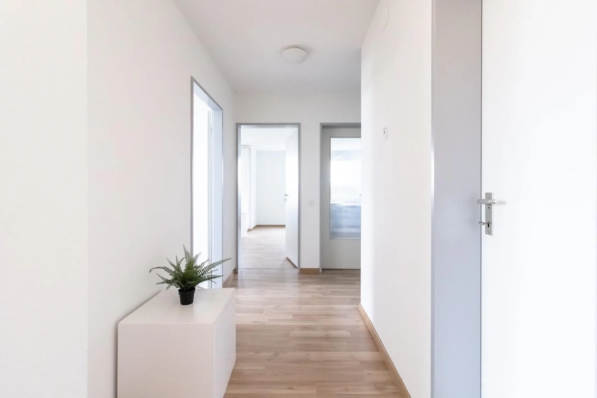 Beautiful 3.5 room apartment with balcony and green surroundings