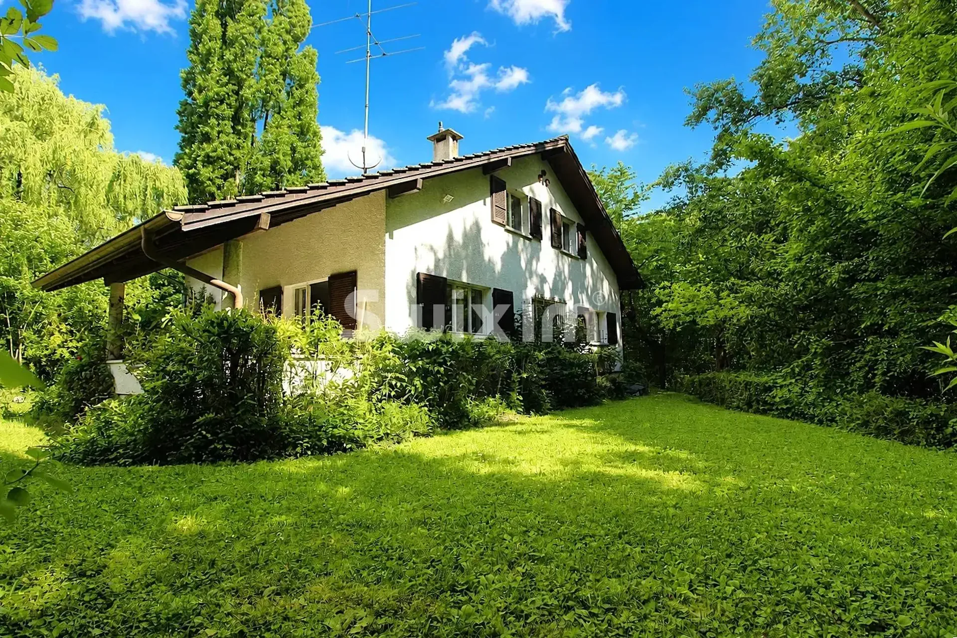 Detached house in a green setting