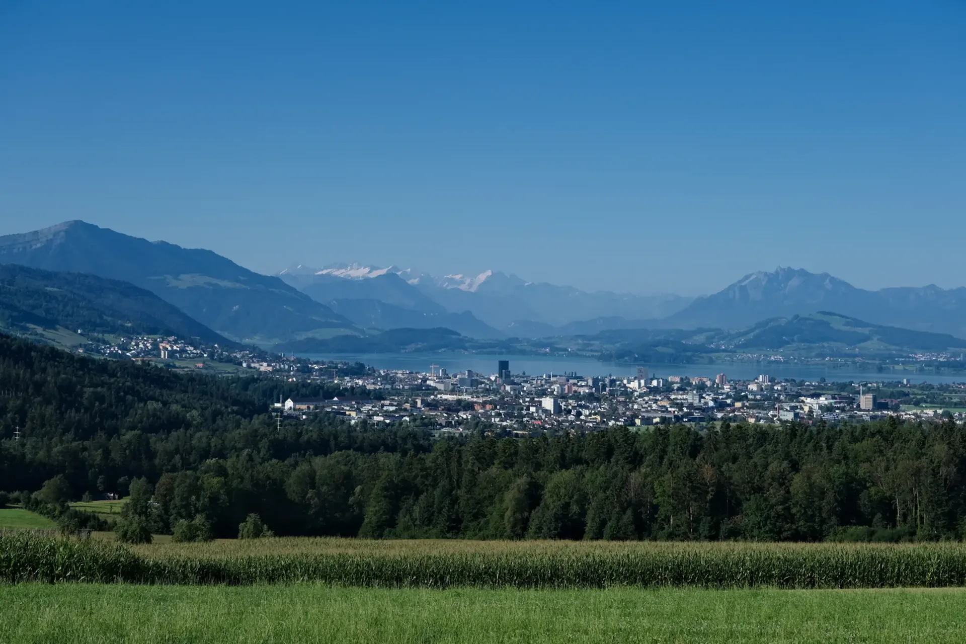 2'400 m2 de terrain à bâtir commercial dans le canton de Zug