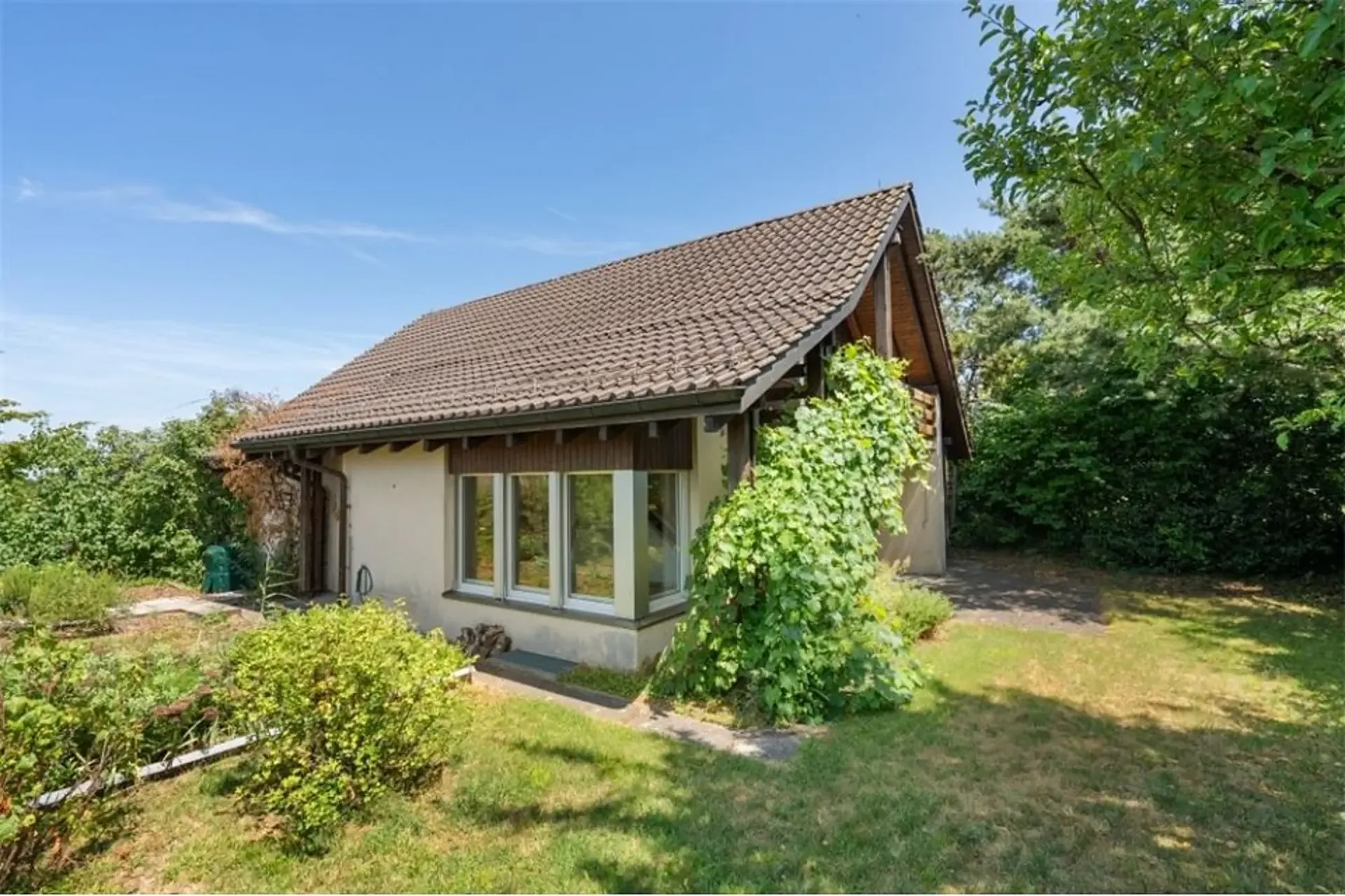 Your Home in the Green with Space for Your Ideas