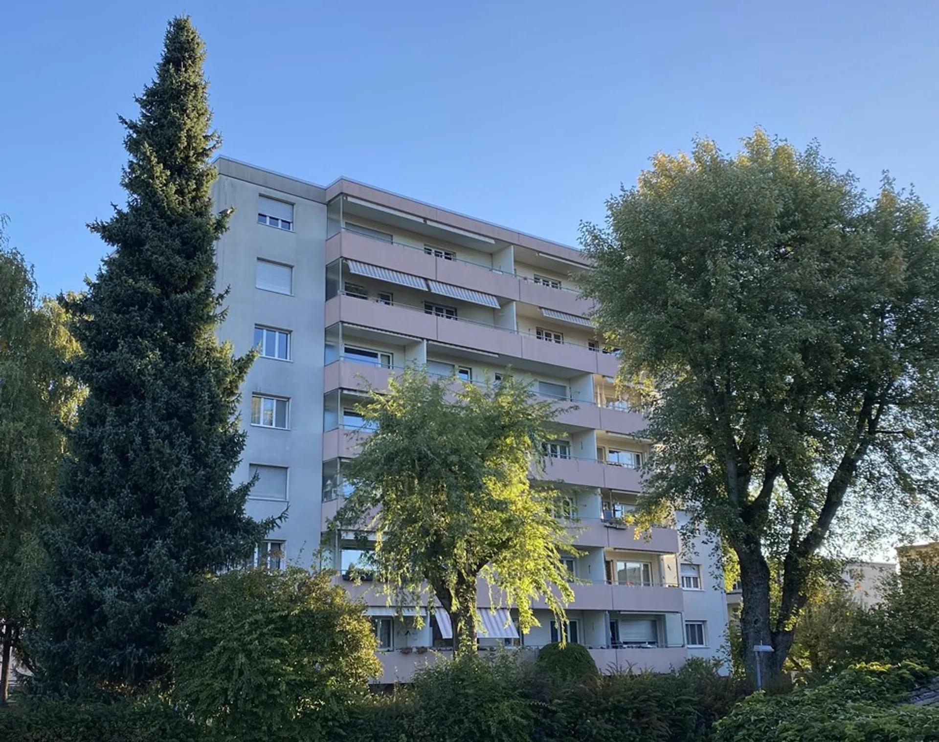 Hallenplatz Nr. 40