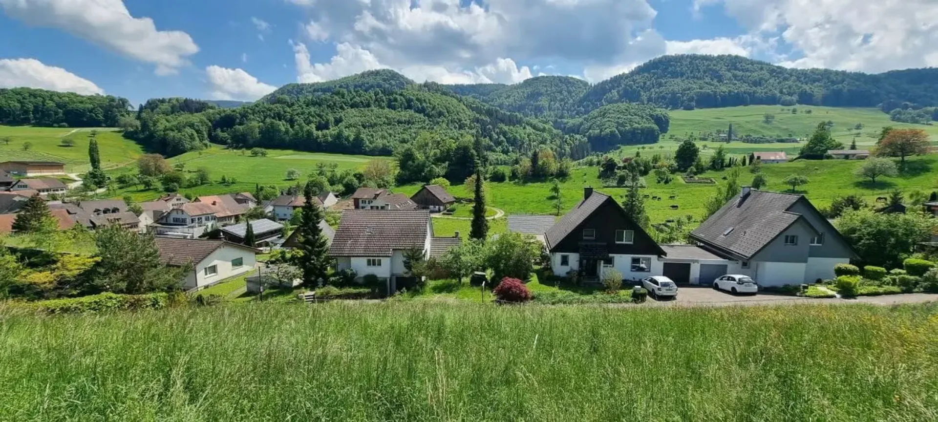 Grand terrain à bâtir avec vue panoramique à Bretzwil à vendre