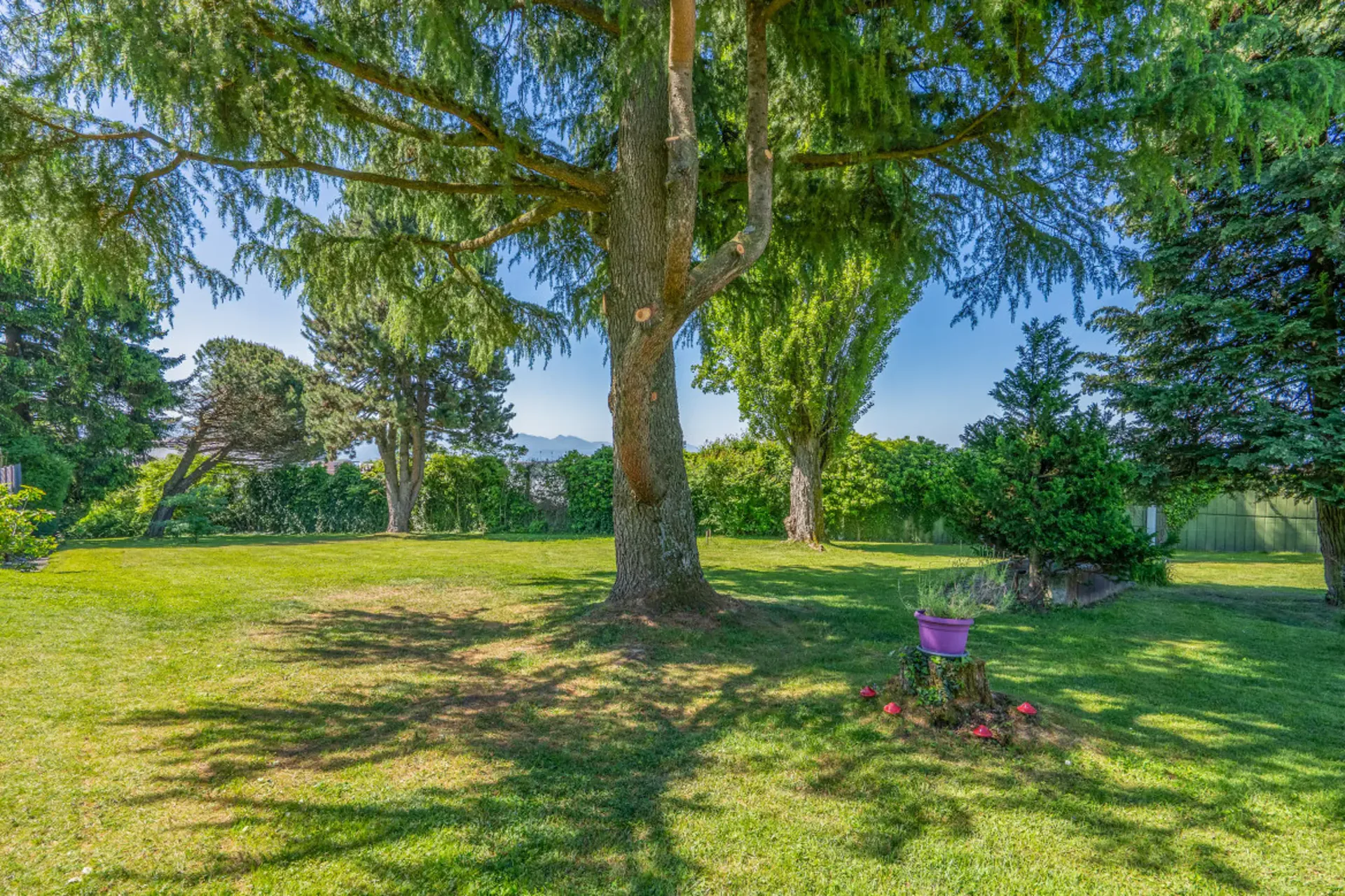 EN EXCLUSIVITÉ! Parcelle constructible au Mont-sur-Lausanne!