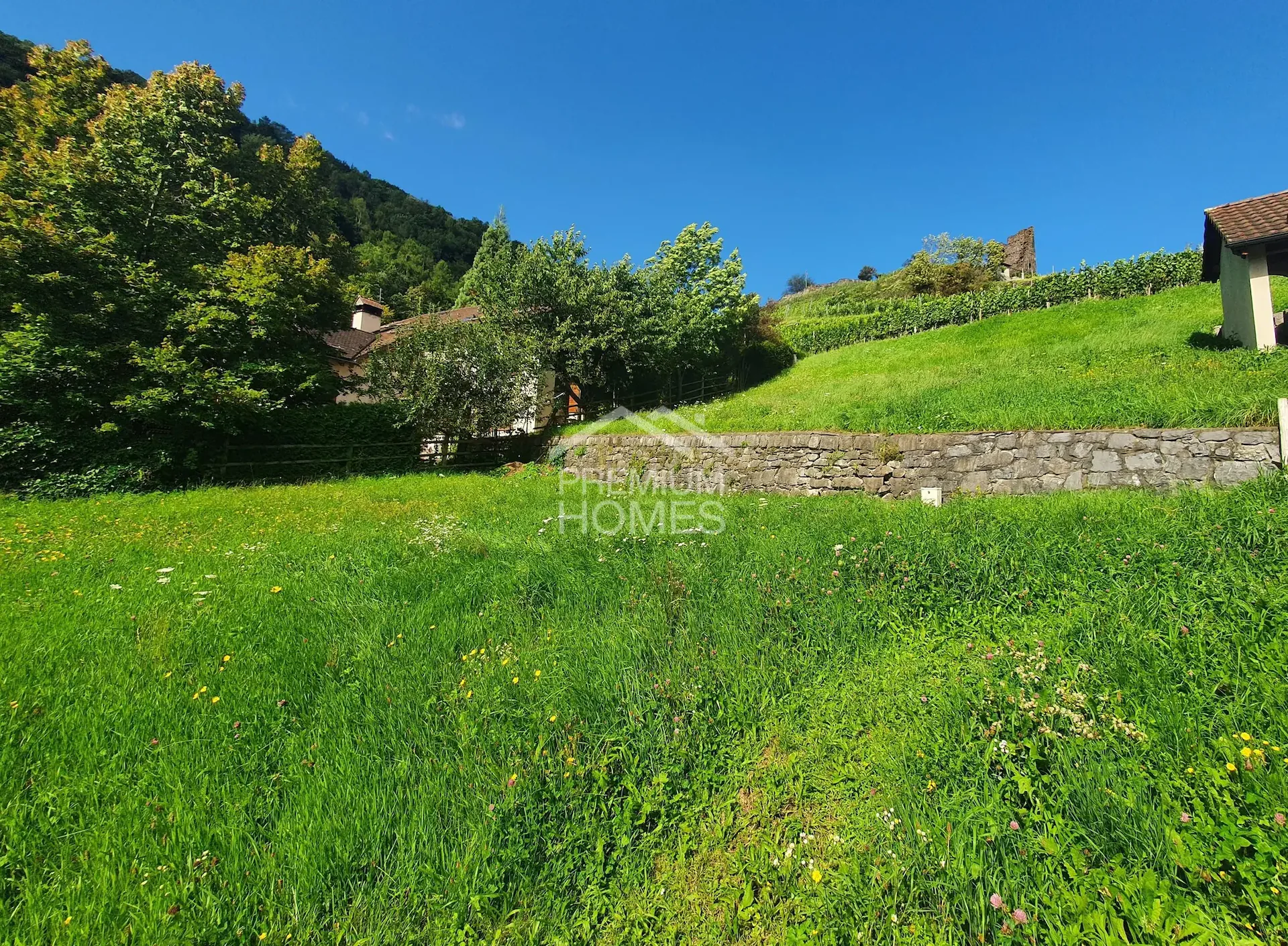 Terreno attraente per grandi pensatori
