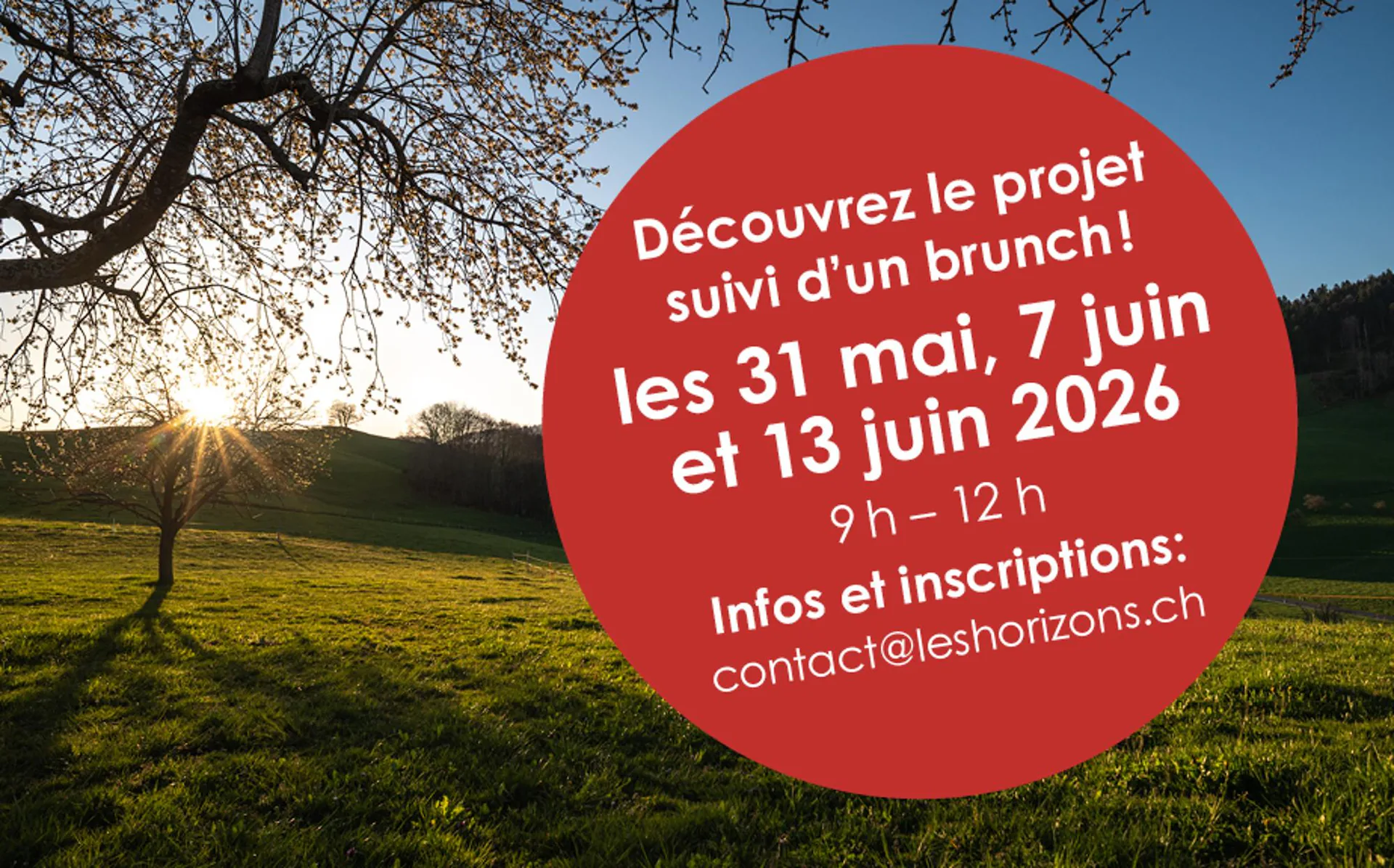 9 villas contemporaines à Treyvaux - nouvelles constructions