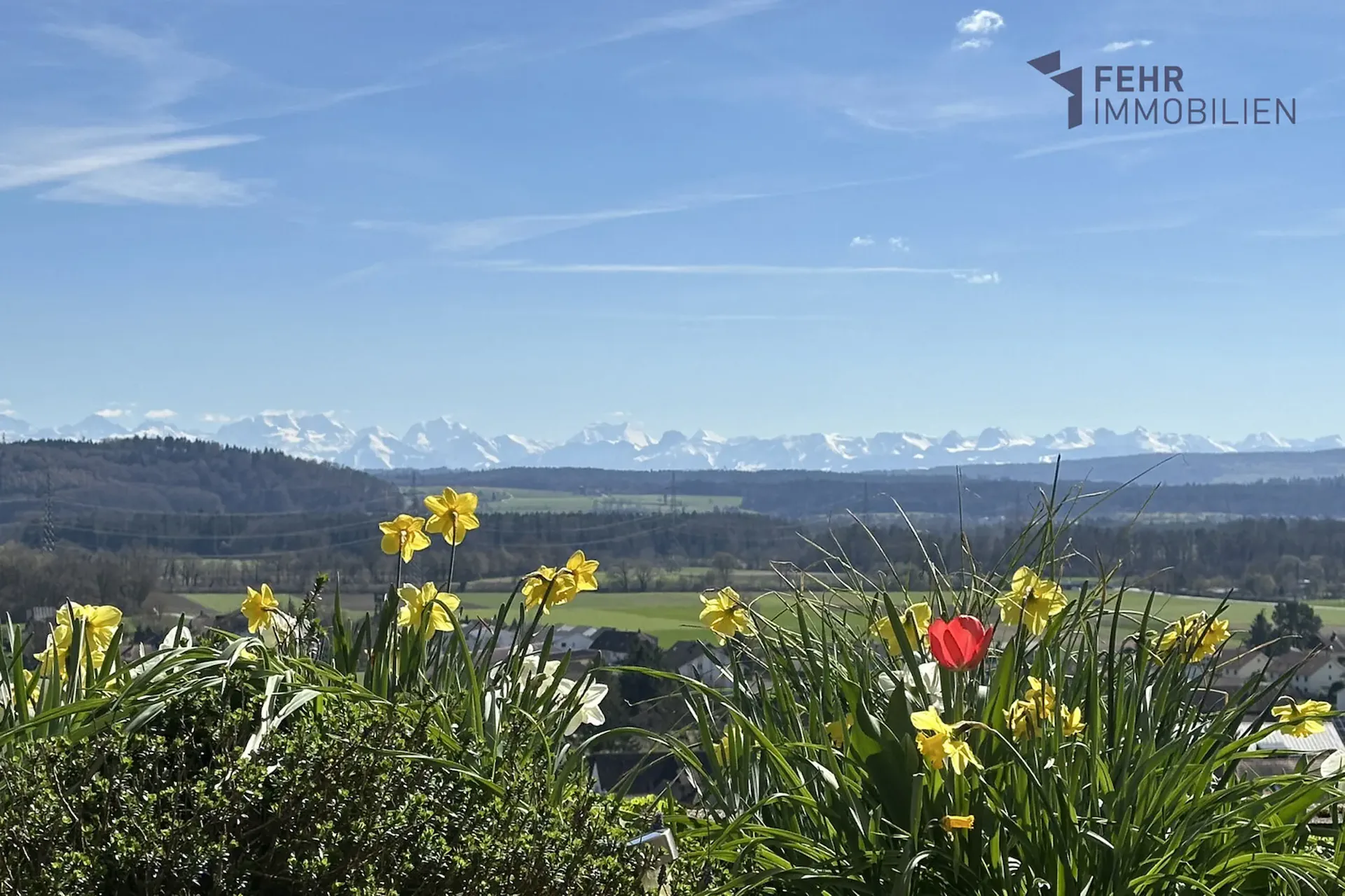 Fehr Immobilier - Maison de terrasse 5.5 pièces avec vue magnifique