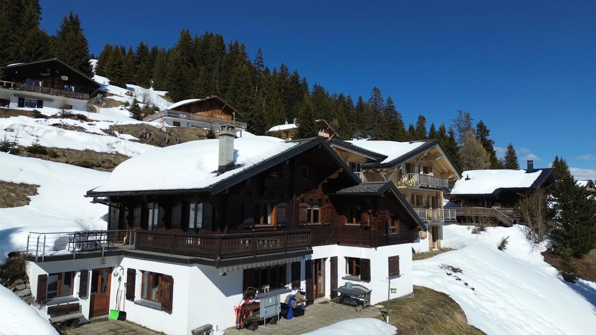 Family Chalet / Portes du Soleil / les Crosets