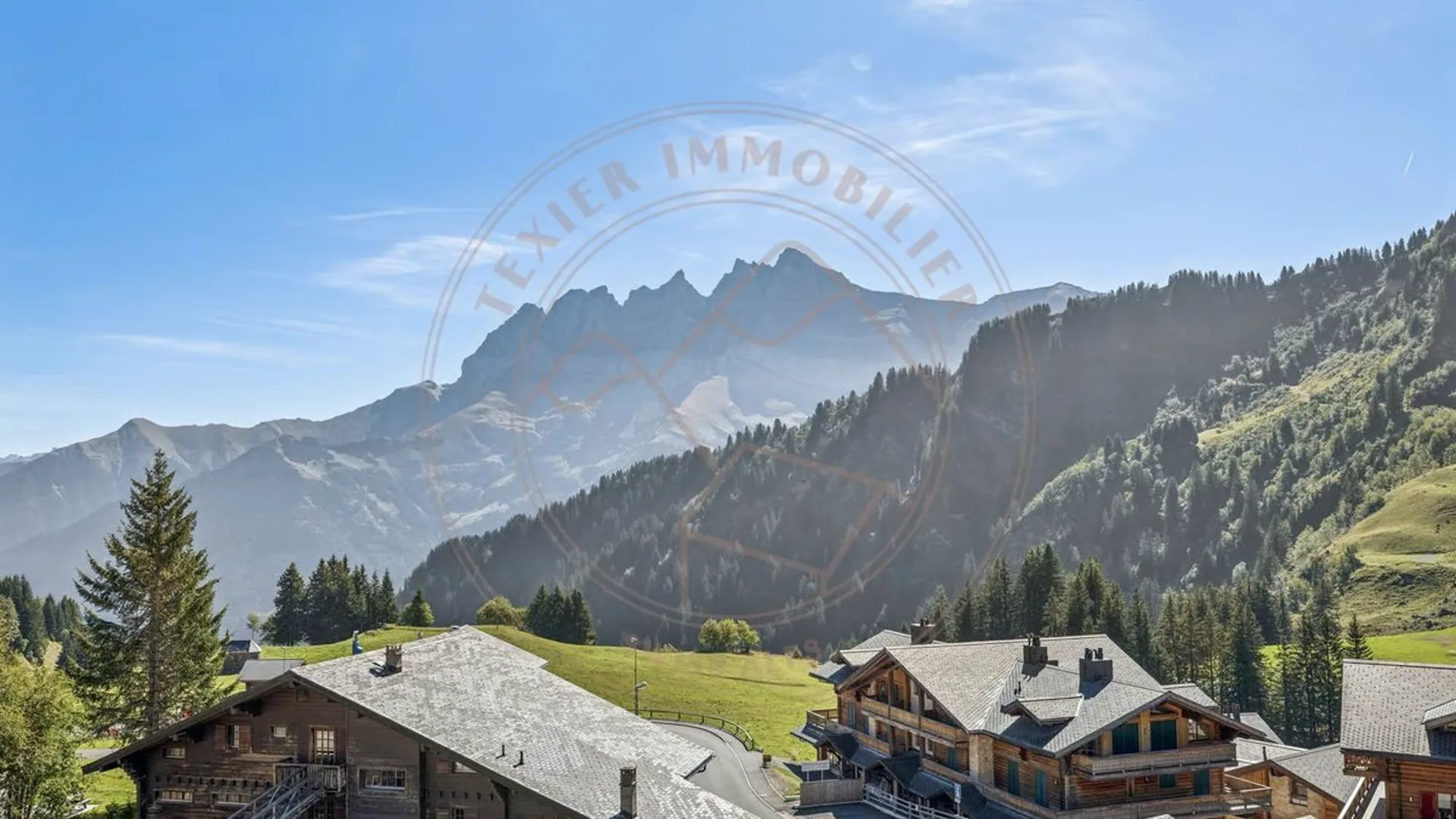 Large triplex with direct access to the slopes in Les Crosets