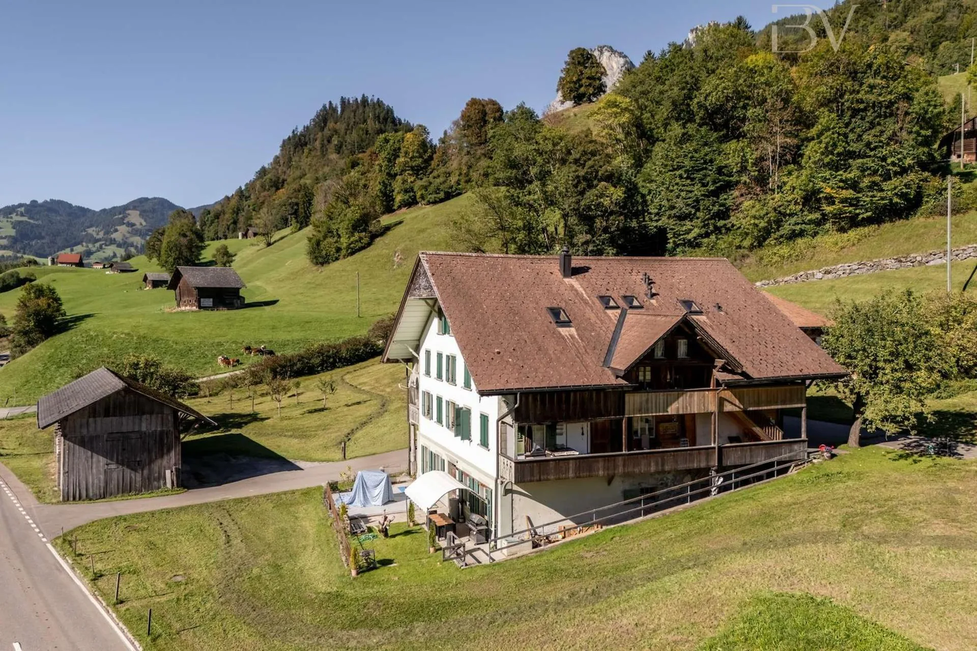 3-Family House with Barn