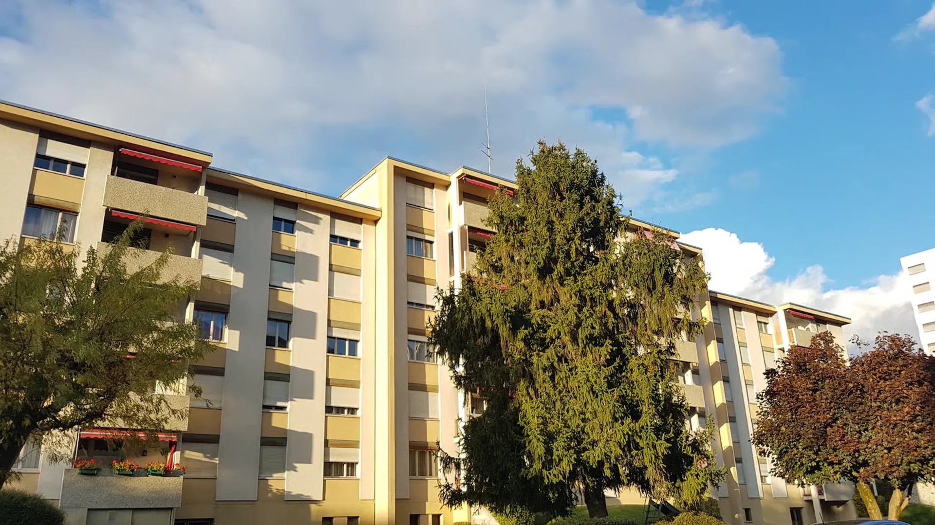 For rent, a charming 3-room apartment with 1/2 room, at the western entrance of Sion!