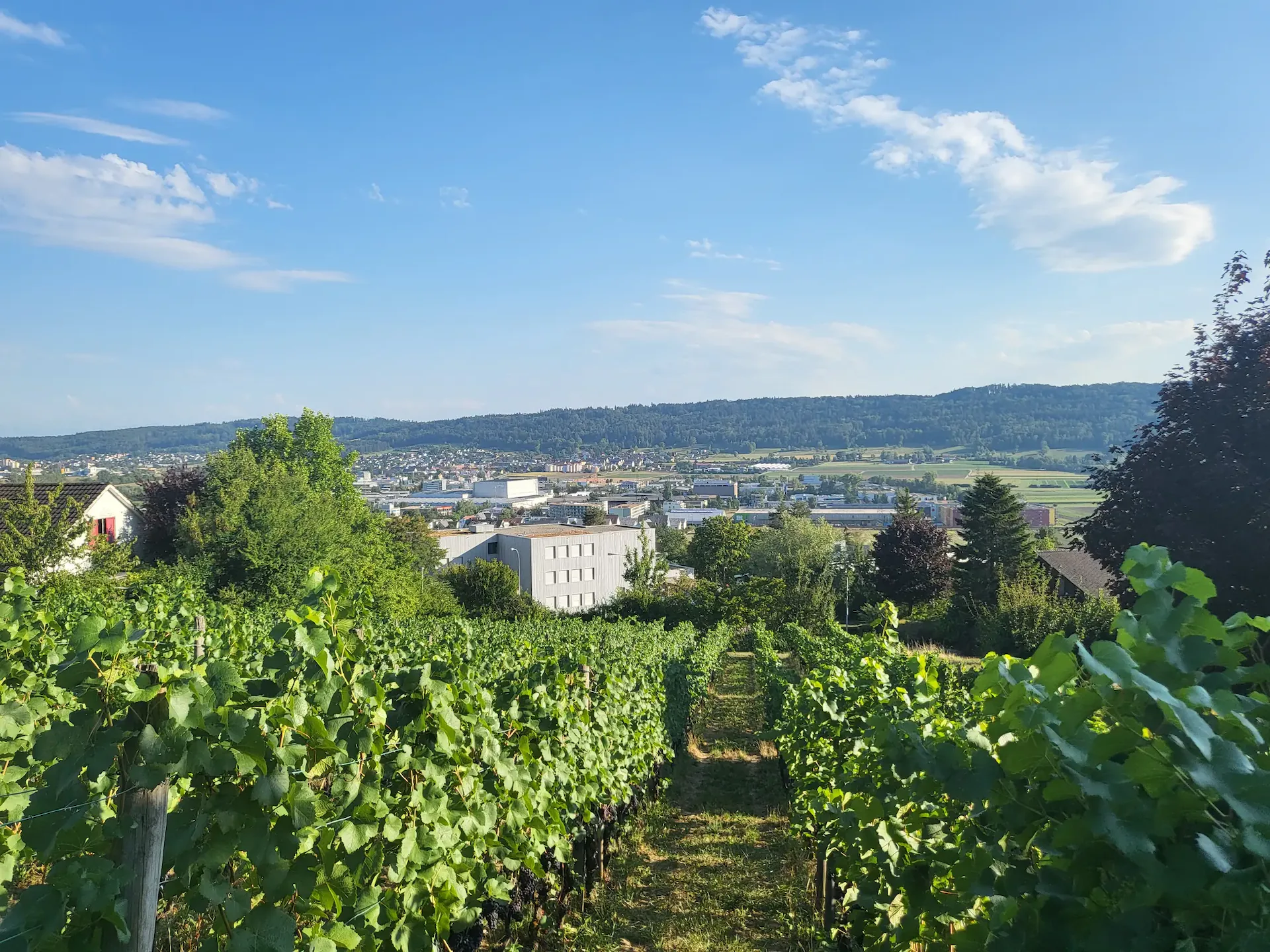 Exclusive residential building land with unobstructable views in the municipality ...