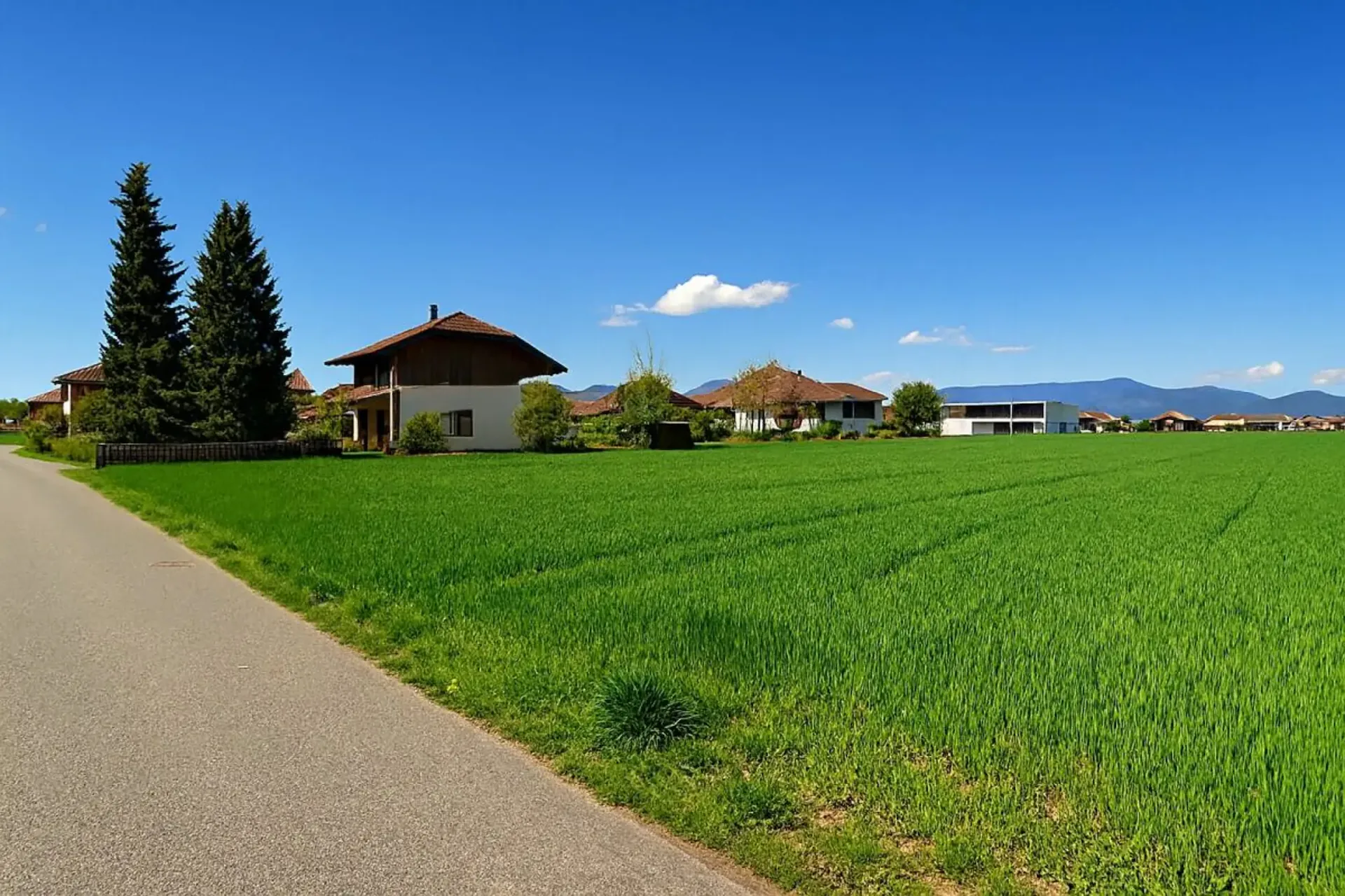 Beautiful plot in a quiet location