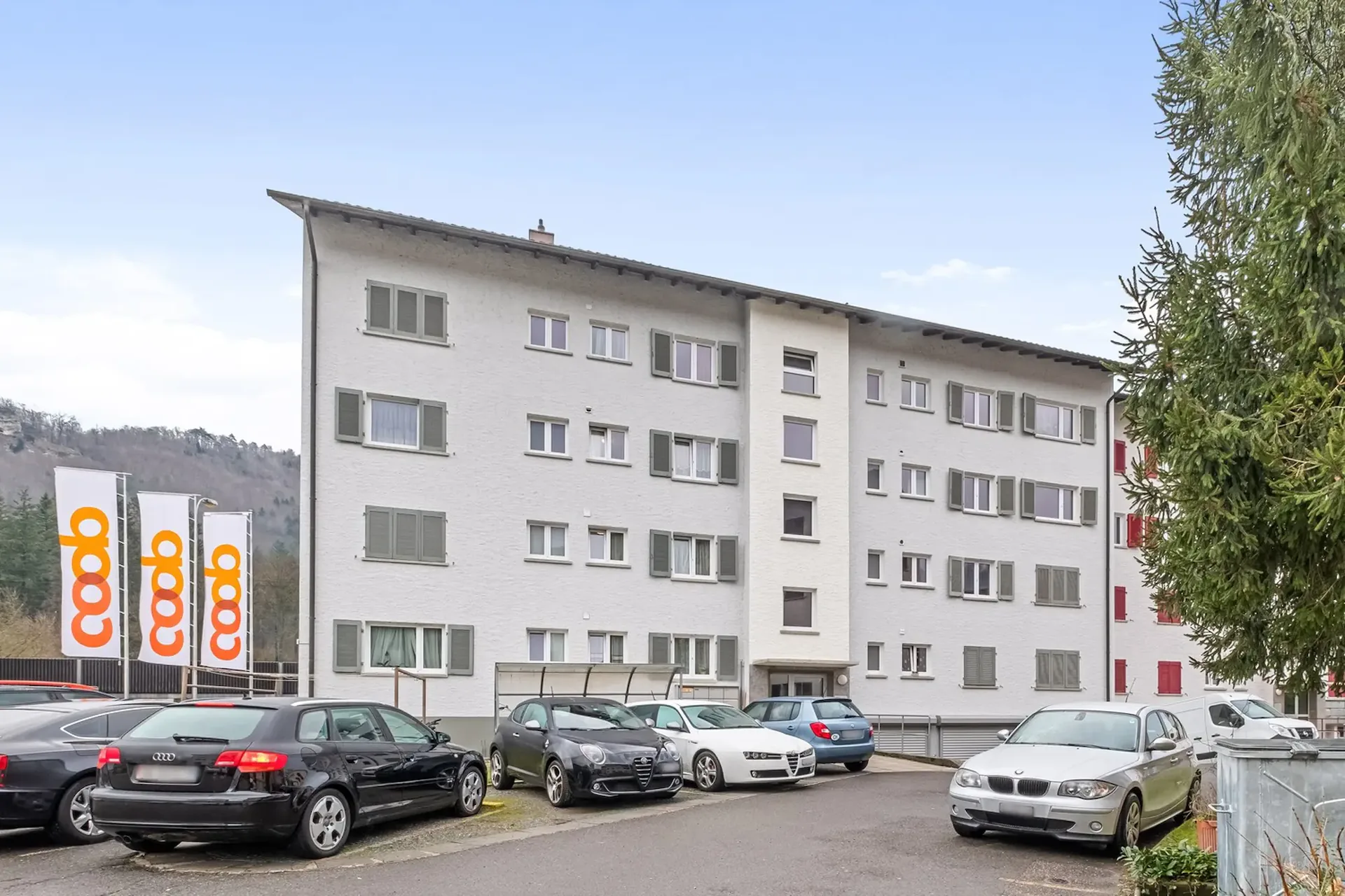 2 ½ Zimmer-Wohnung, 4663 Aarburg