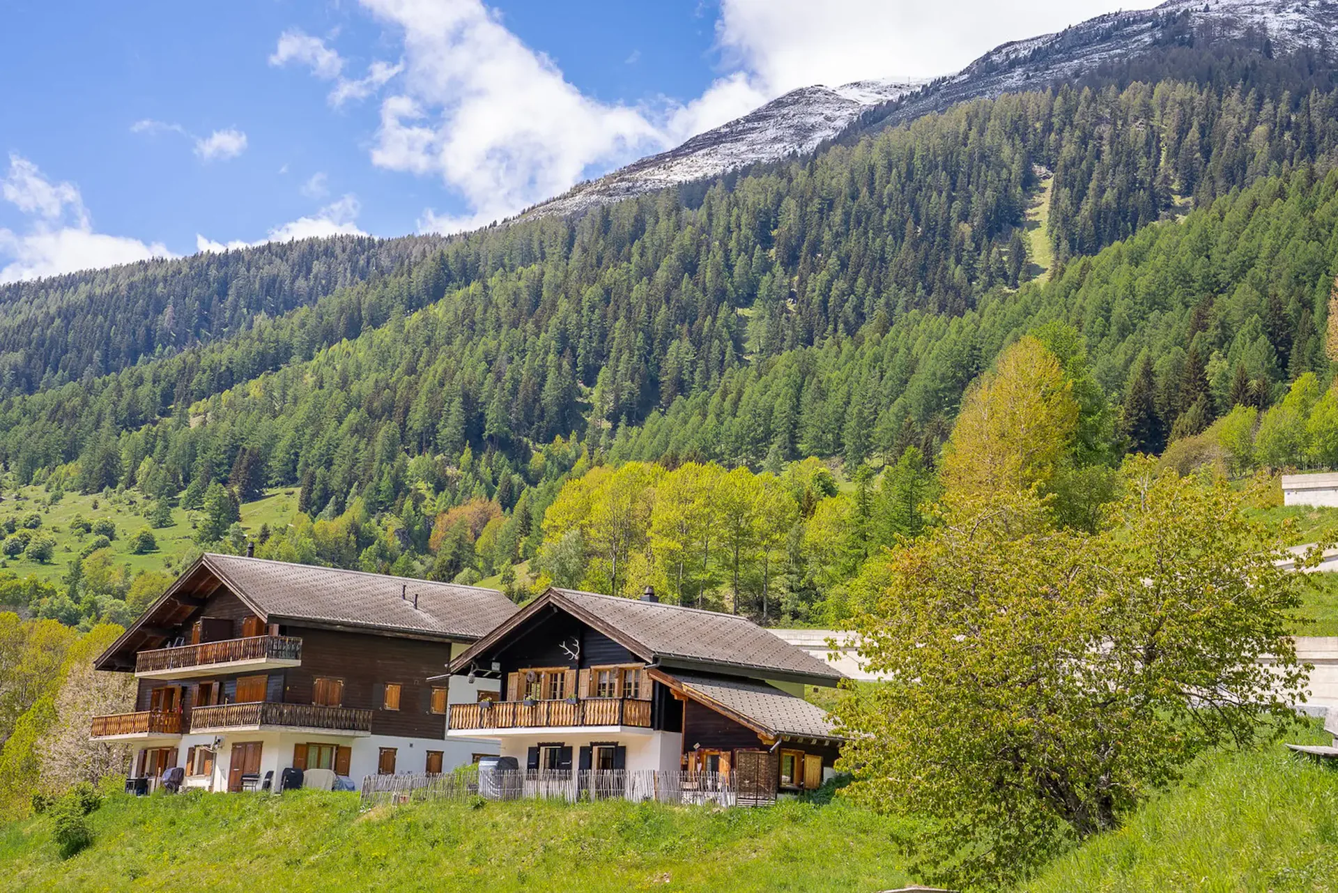 Hochwertig renoviertes Chalet mit Wellnessbereich, Weisshornblick und etabliertem Vermietungskonzept