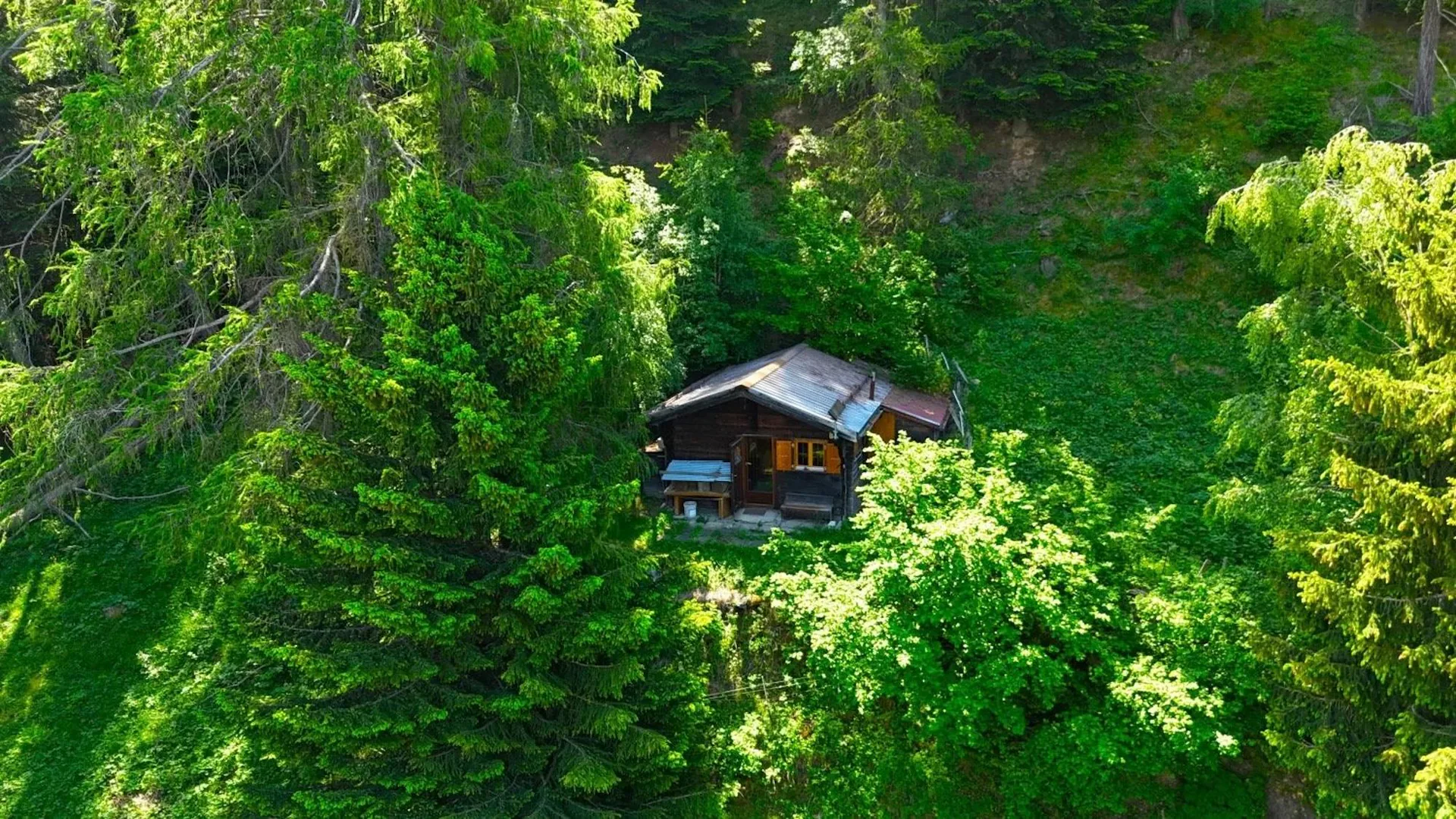 Unique cottage in a larch clearing - pure nature