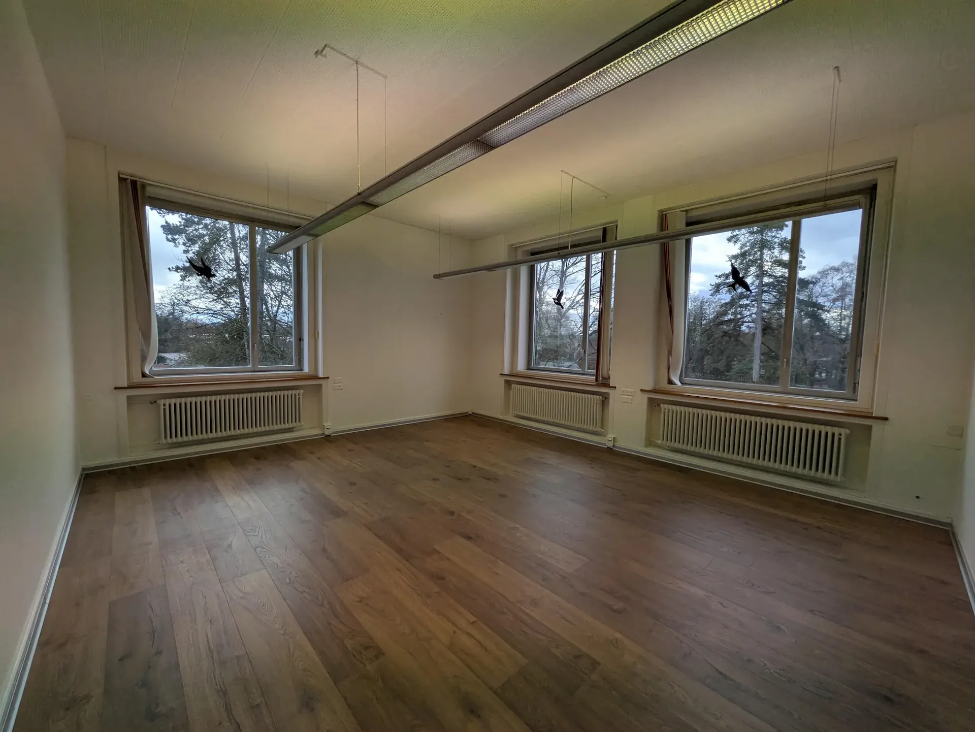 Büro in Biberist