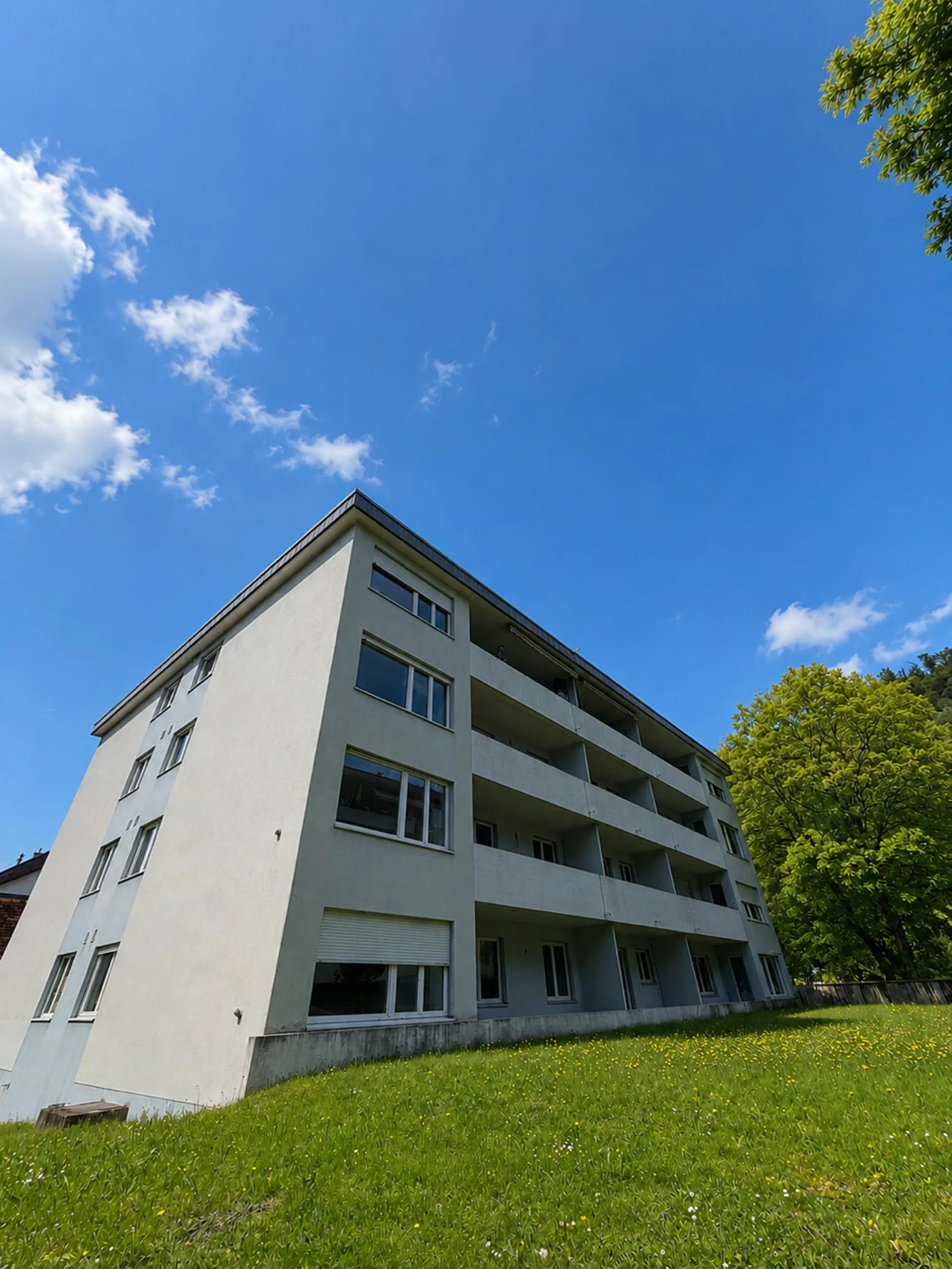 Primo affitto dopo ristrutturazione – Appartamento moderno 3.5 locali a Trimbach