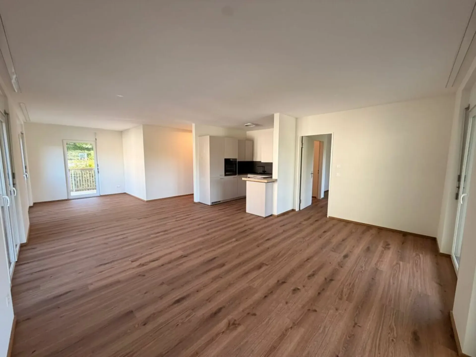 Primo affitto: appartamento soleggiato di 3,5 locali con vista in una zona tranquilla