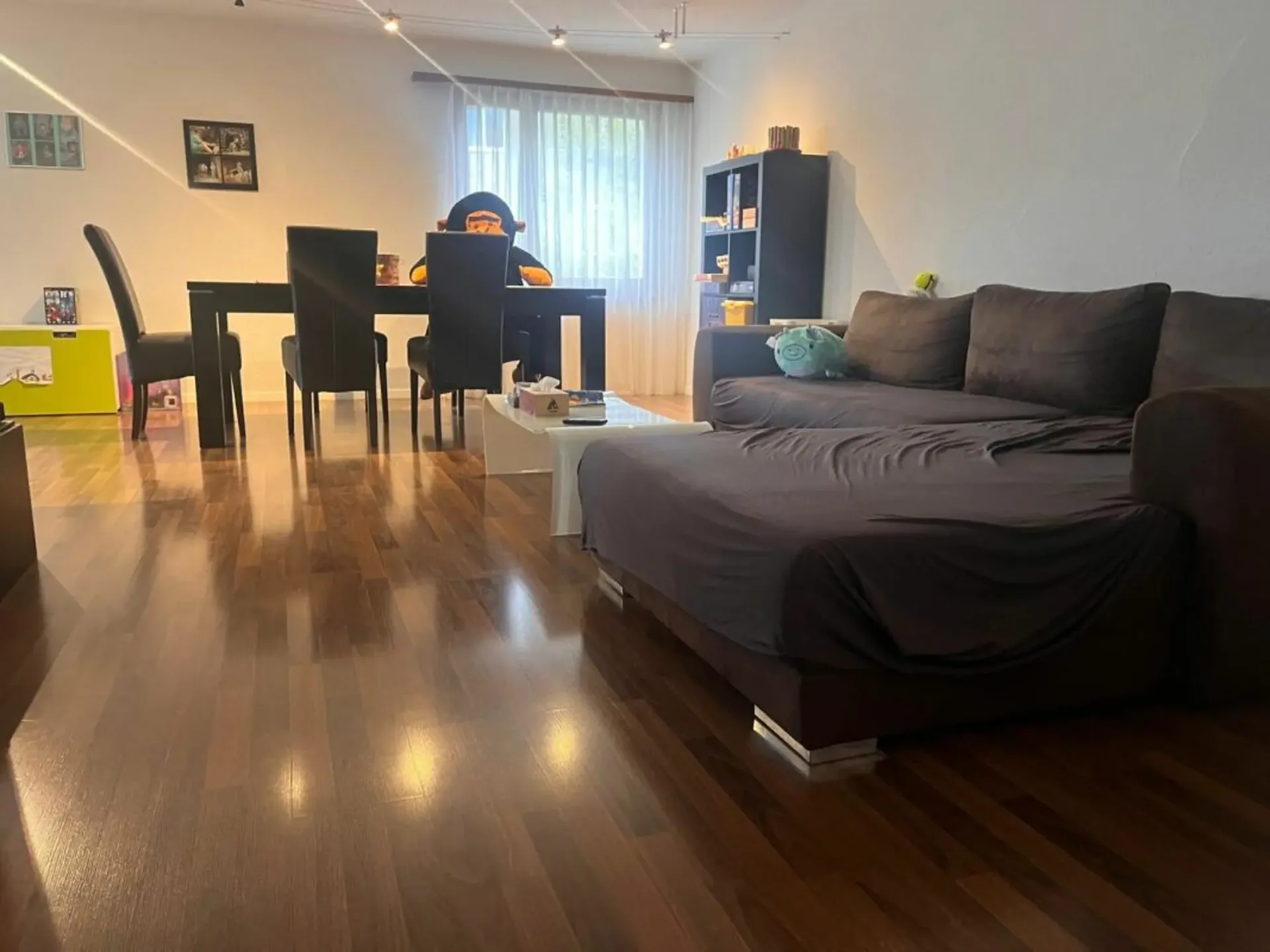 Bright, quiet 5.5-room apartment with a distant view