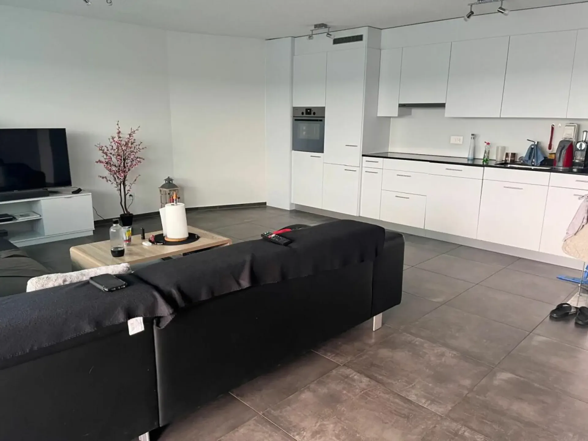 3.5 Room Apartment with Loggia