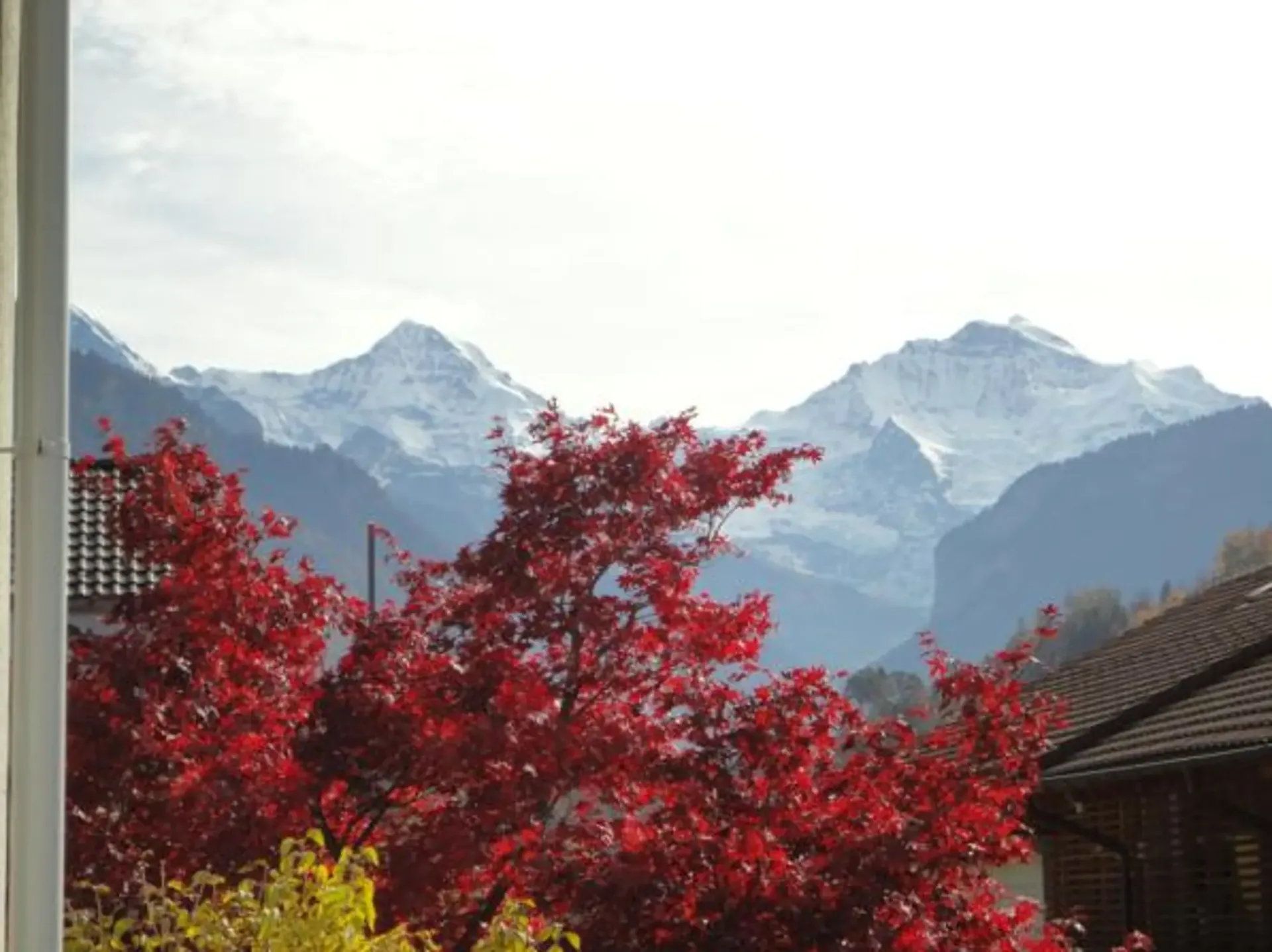 EIGER, MÖNCH AND JUNGFRAU - TOP VIEW!