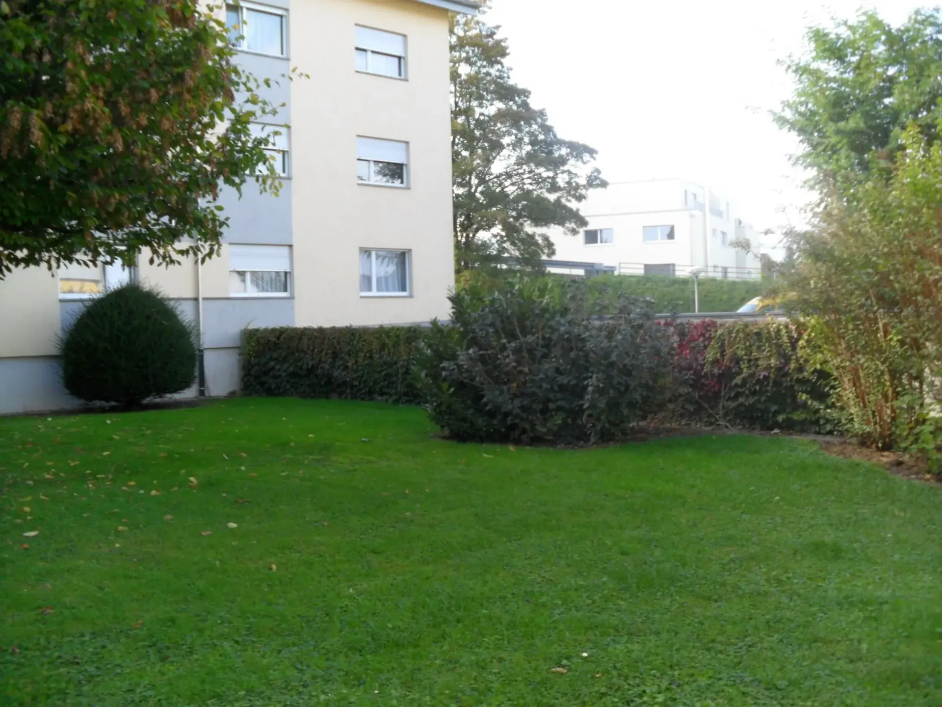 Bright 3.5-room ground-floor apartment for rent