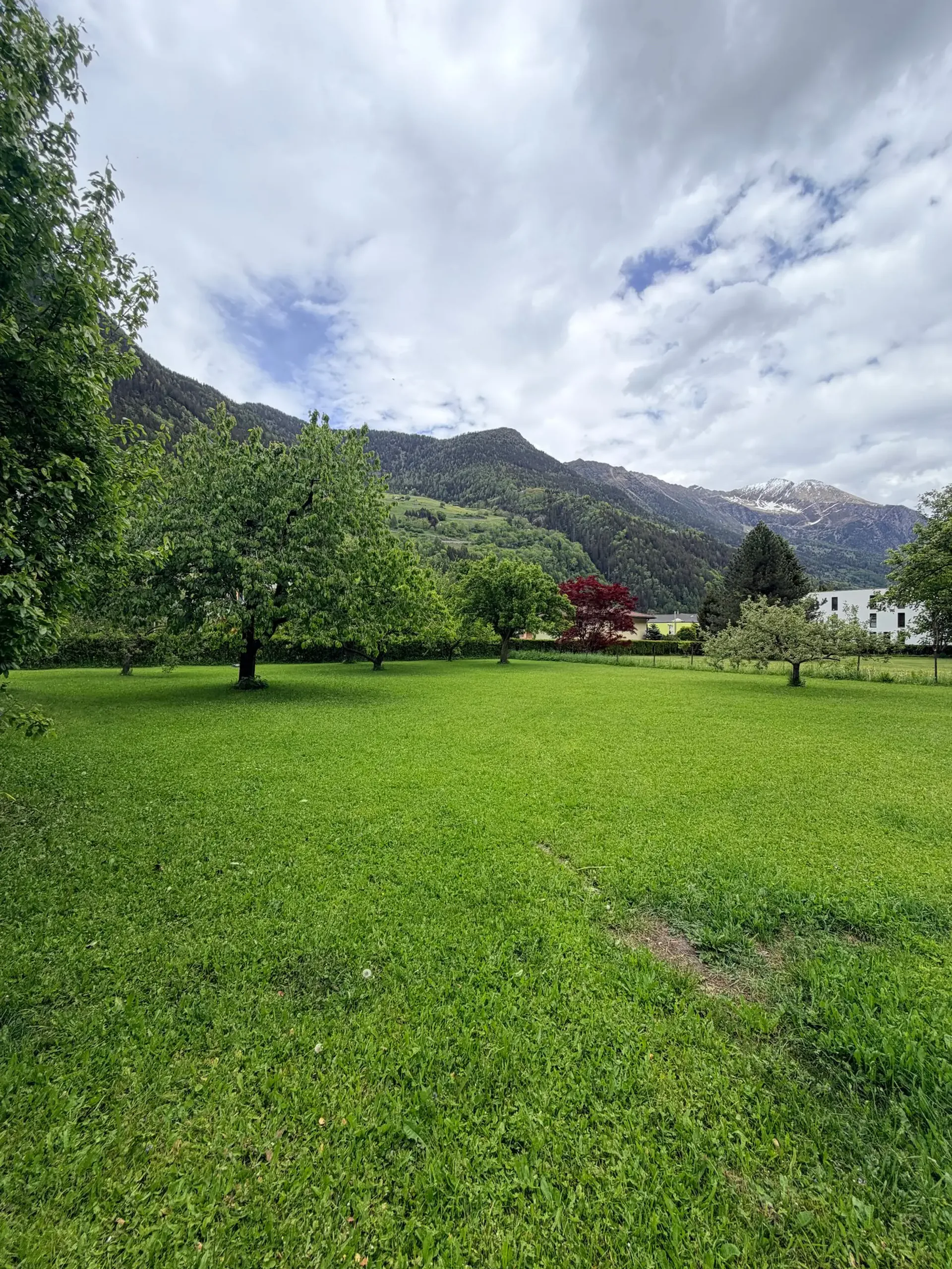 Verkauf von bebaubarem Land - Piotta