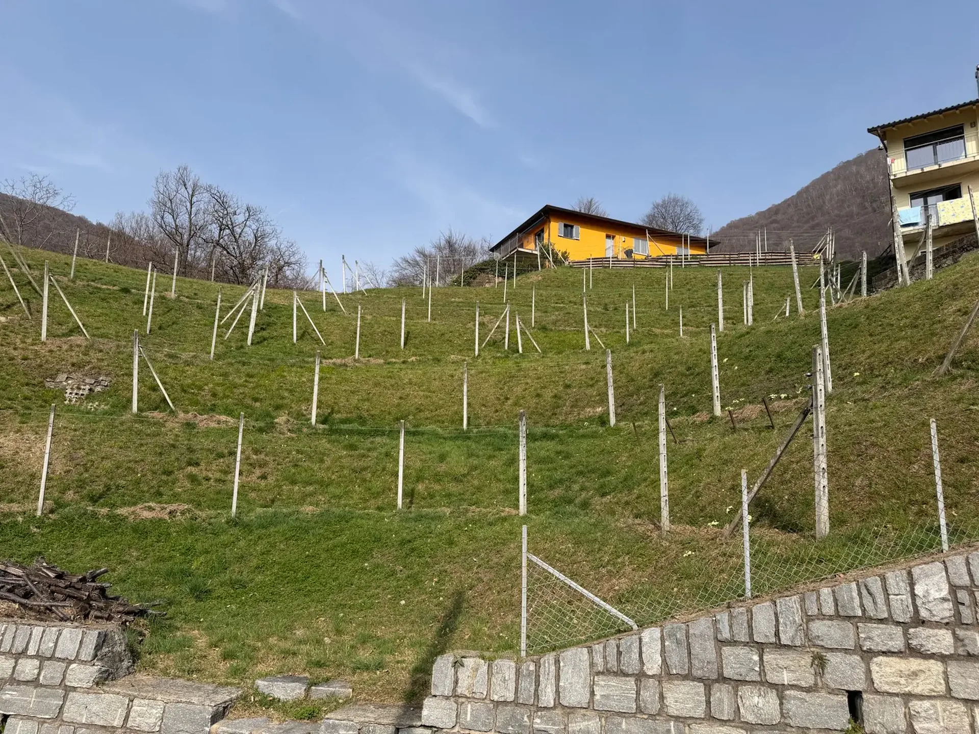 Baugrundstück mit Panoramablick in Medeglia