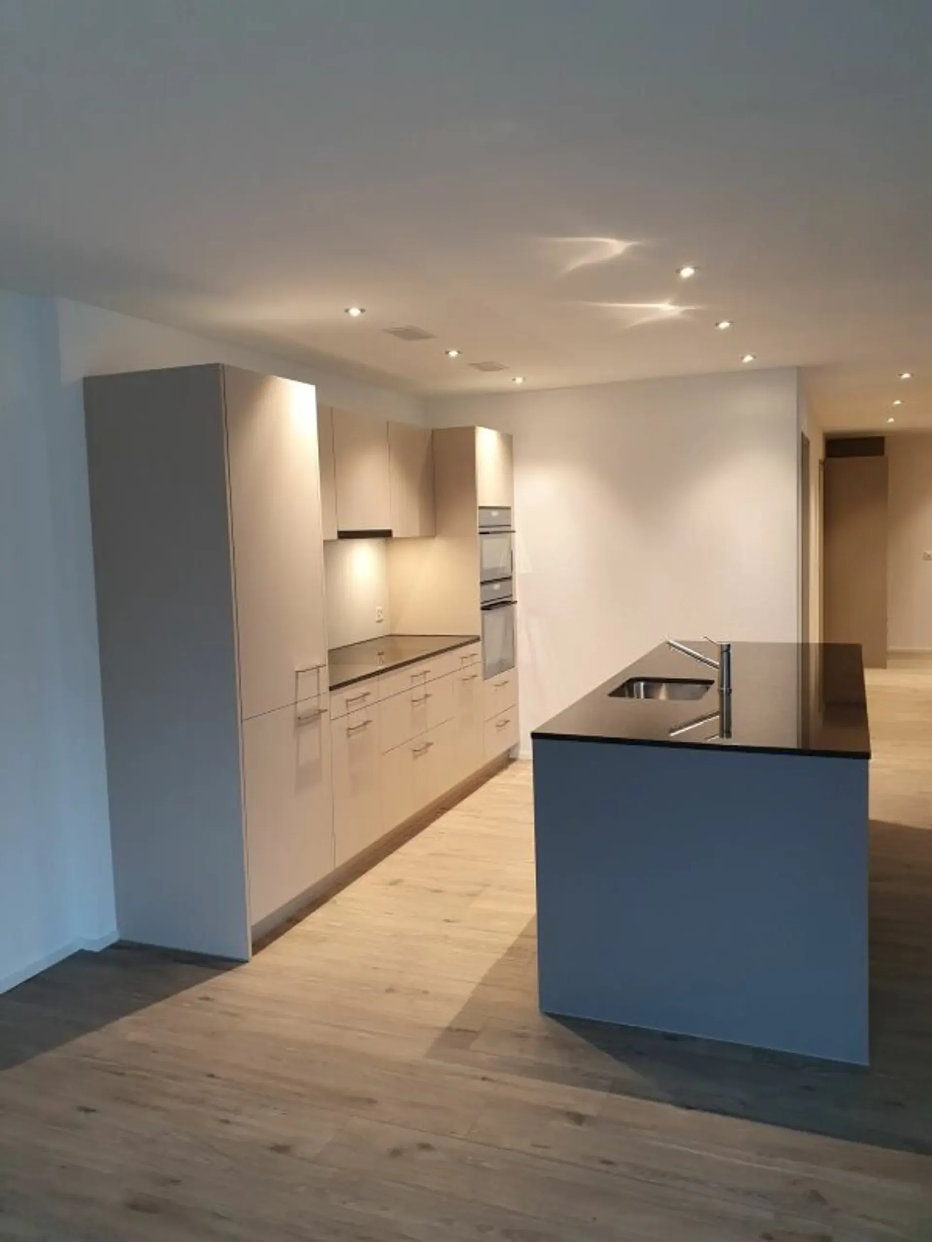 Rental: 3.5-room apartment including basement compartment