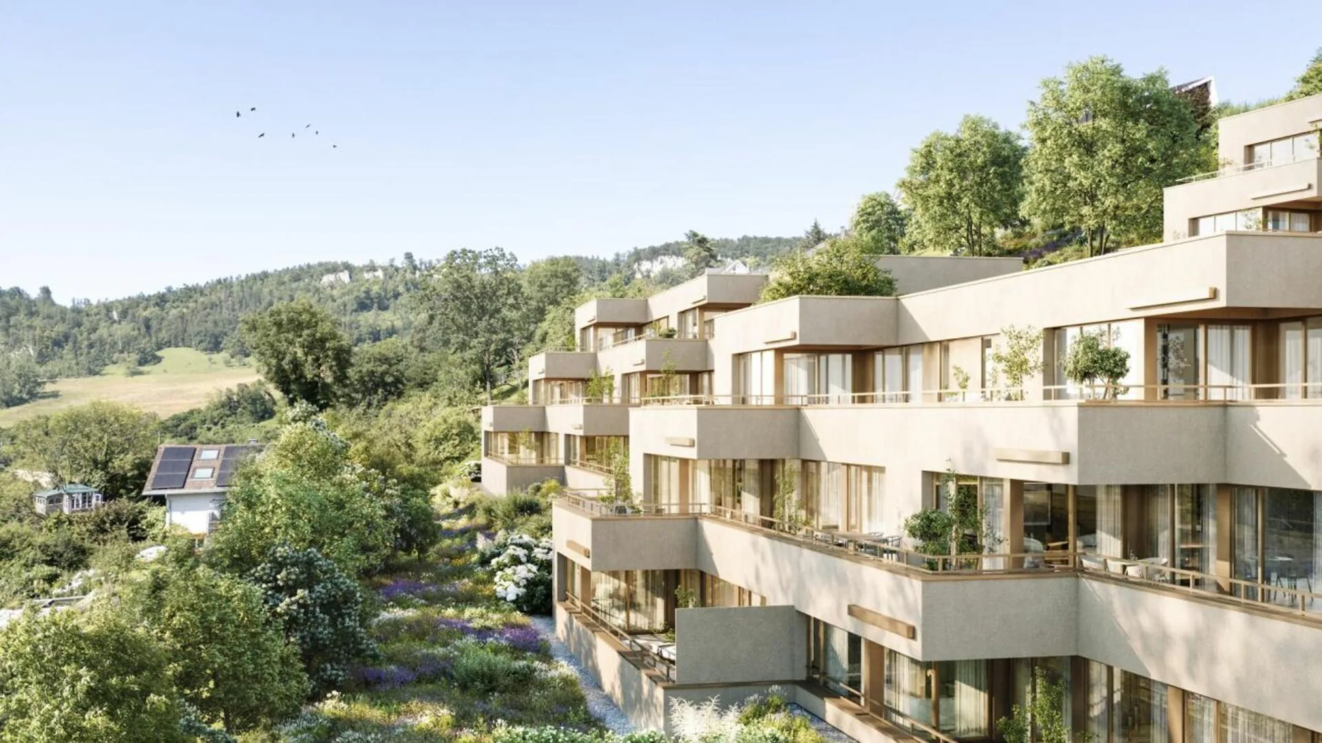 Appartamenti con terrazza luminosi | Florea