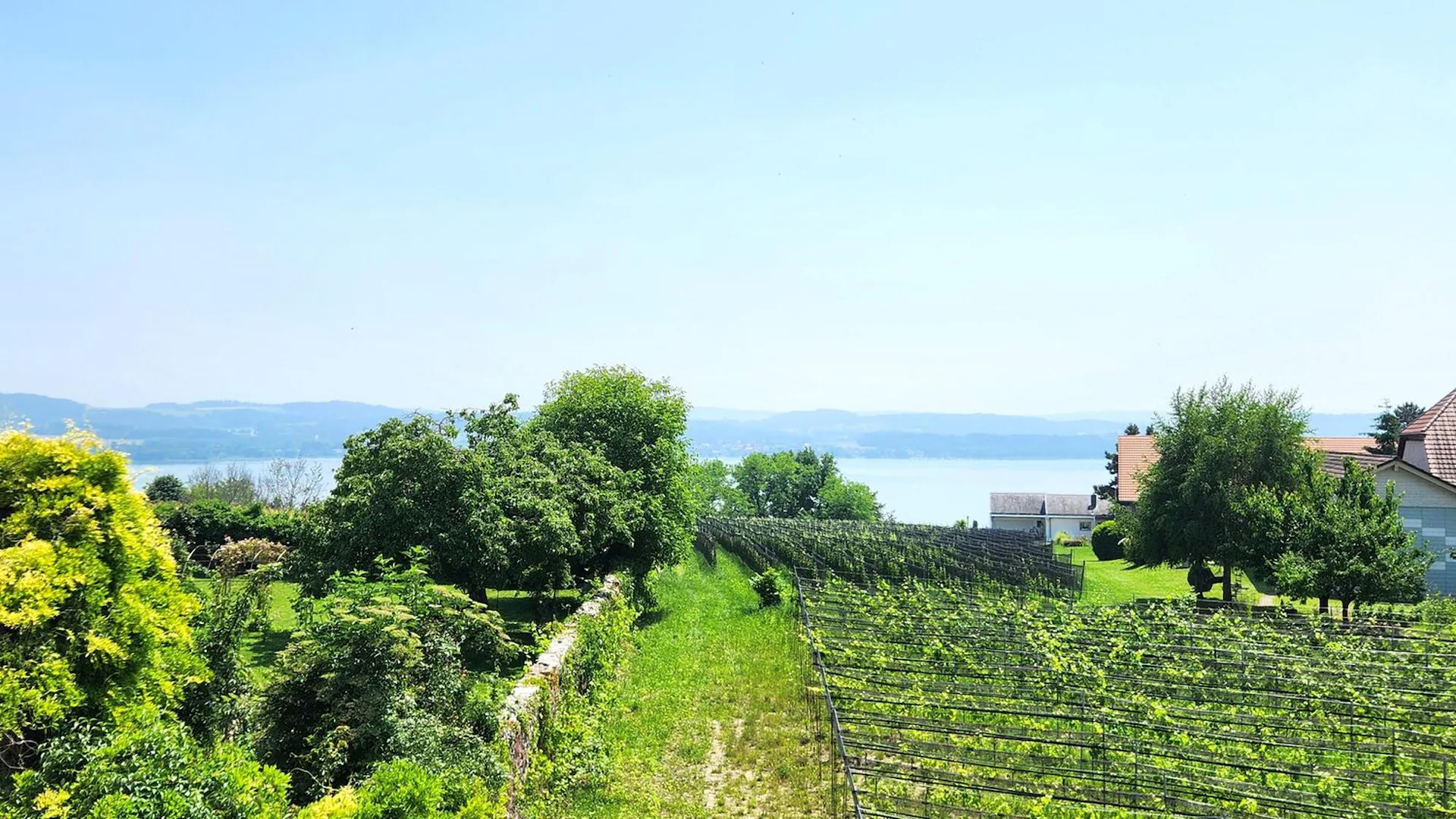 Bel appartement de 3,5 pièces (Lot 4)