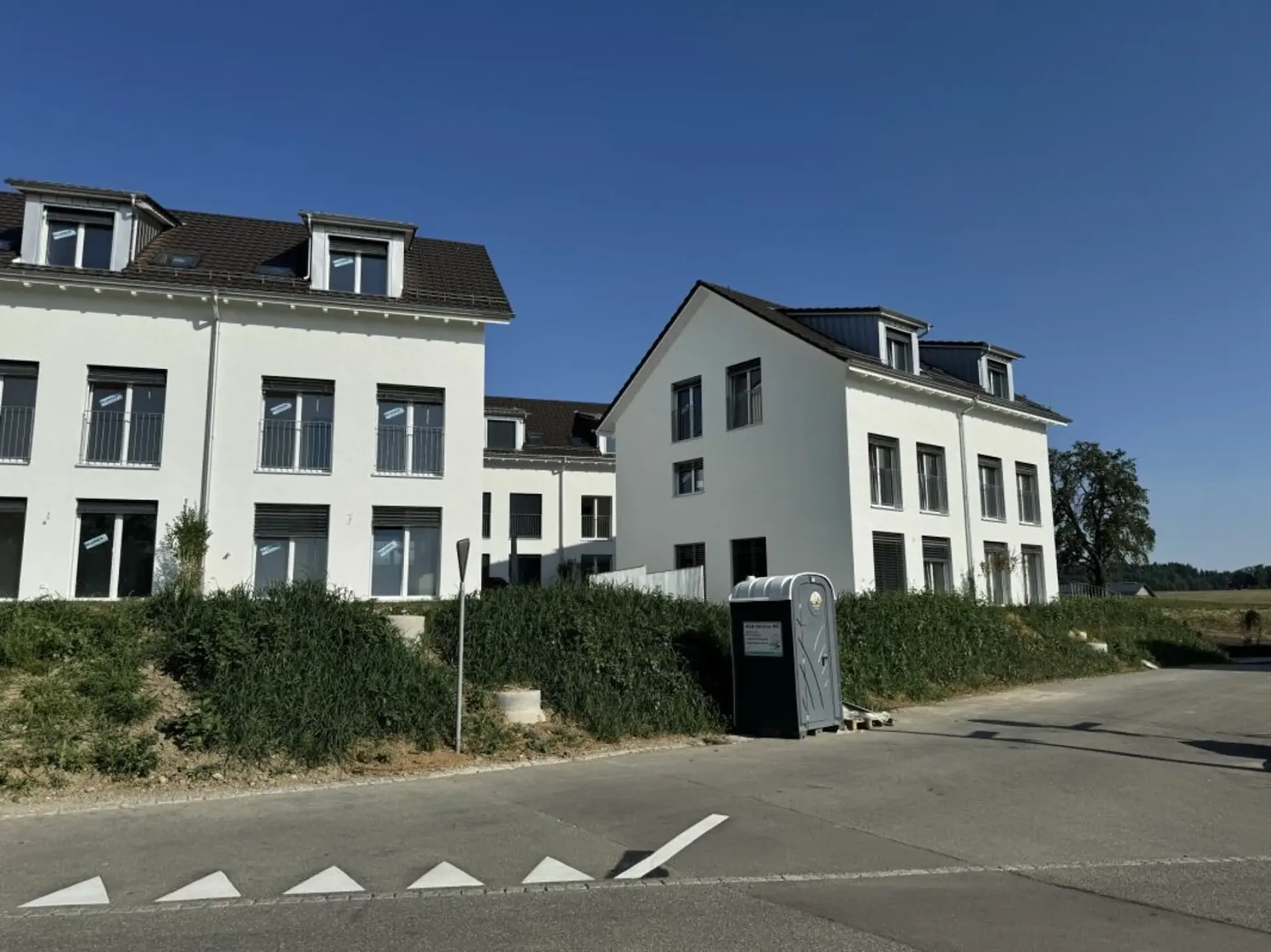 Vue des Alpes Wetzikon TG
