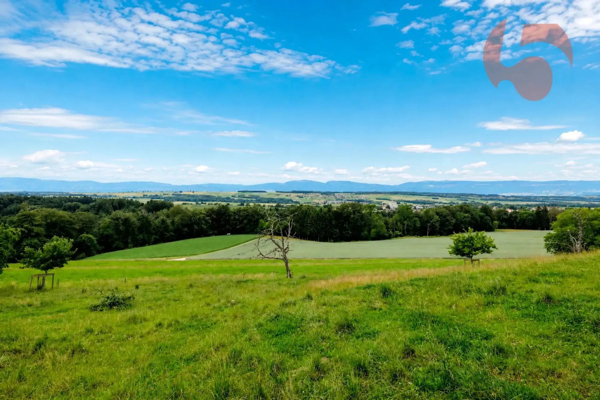 Prächtige 4.5-Zimmer-Villa mit Panoramablick auf den Jura und die umliegende Landschaft