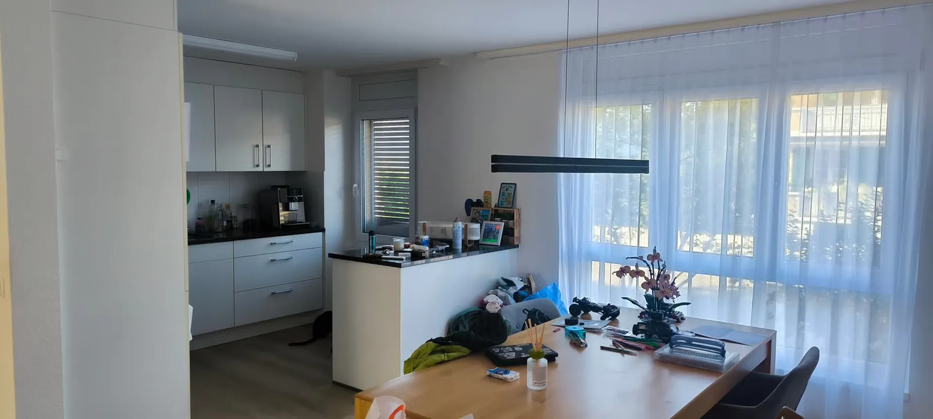 Appartamento di 4,5 locali modernizzato in un quartiere tranquillo
