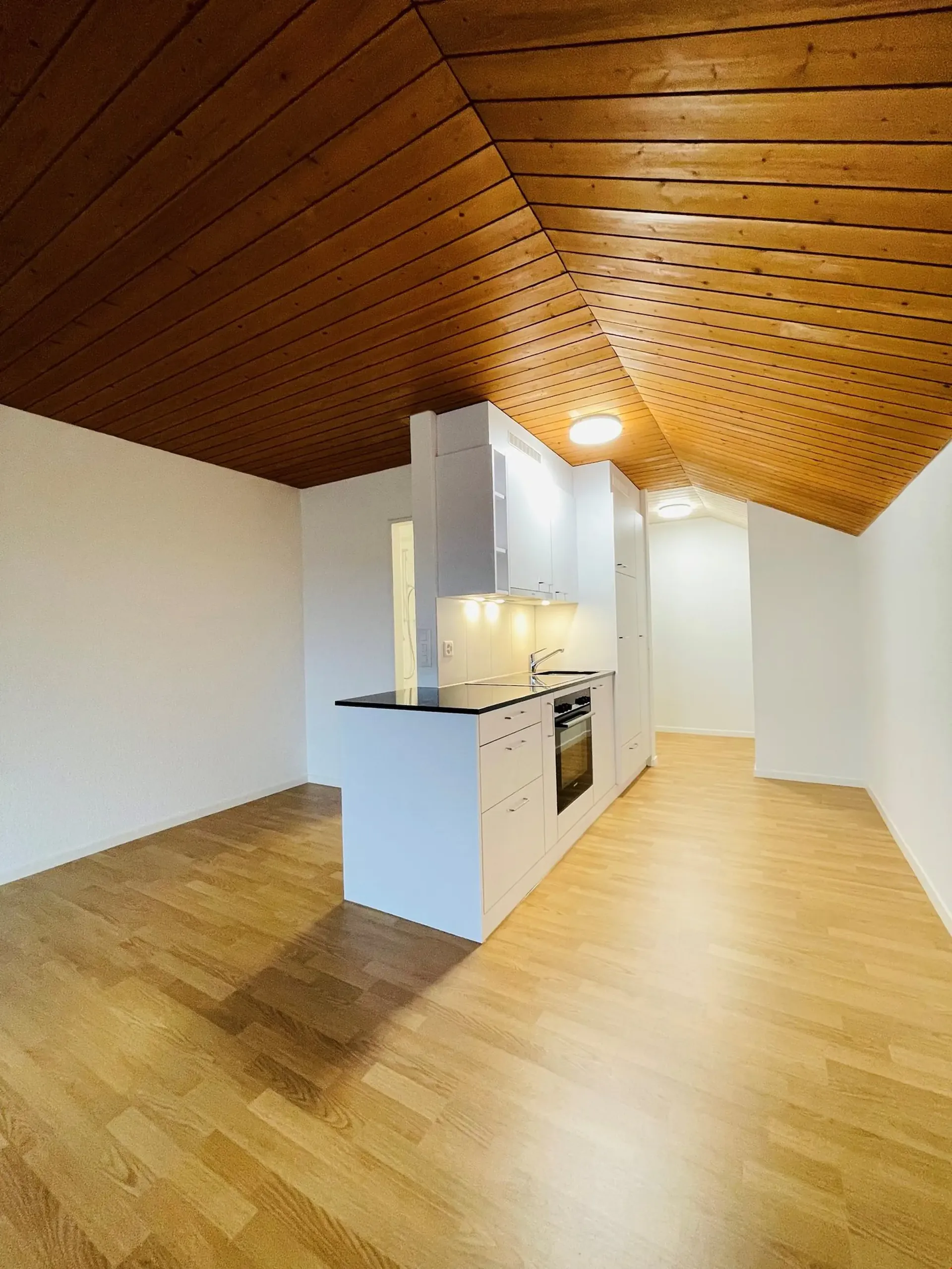 Renovated, spacious studio in Aegerten