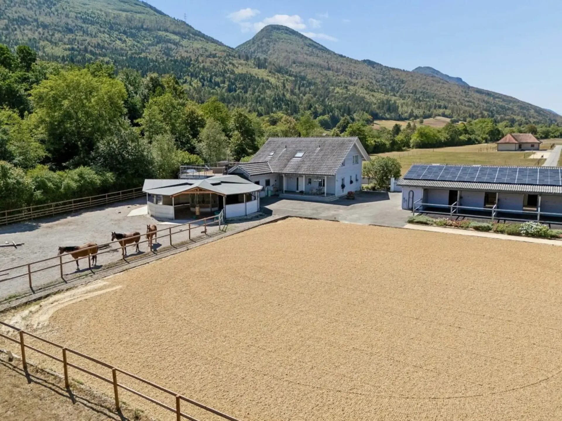 VIELSEITIGE REITSPORTIMMOBILIE MIT WOHNHAUS, BÜROLOFT UND HALB ÜBERDACHTEM REITPLATZ