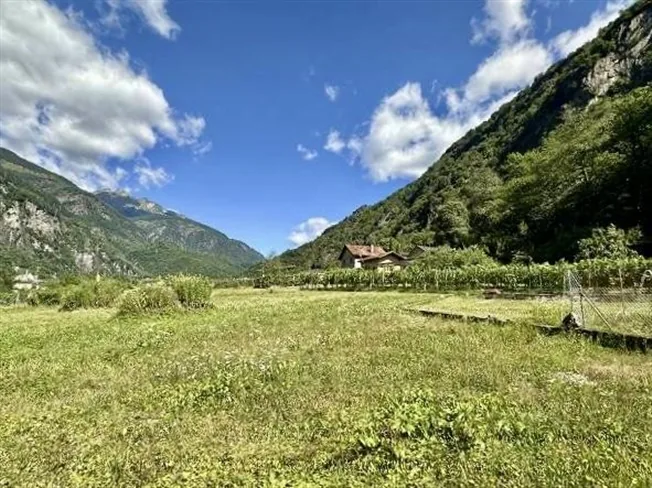 2-Zimmer-Haus mit Rebberg und Wiese / casetta di 2 locali con vigne...