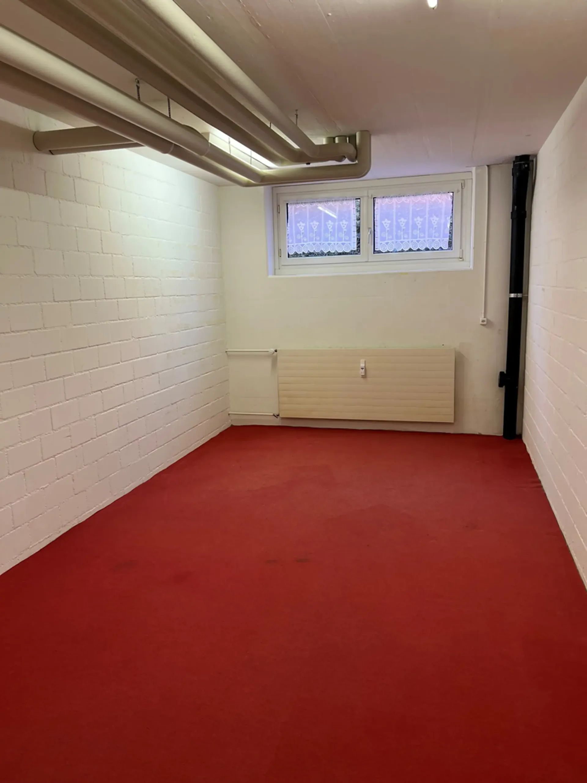 Espace de bricolage spacieux à Reinach